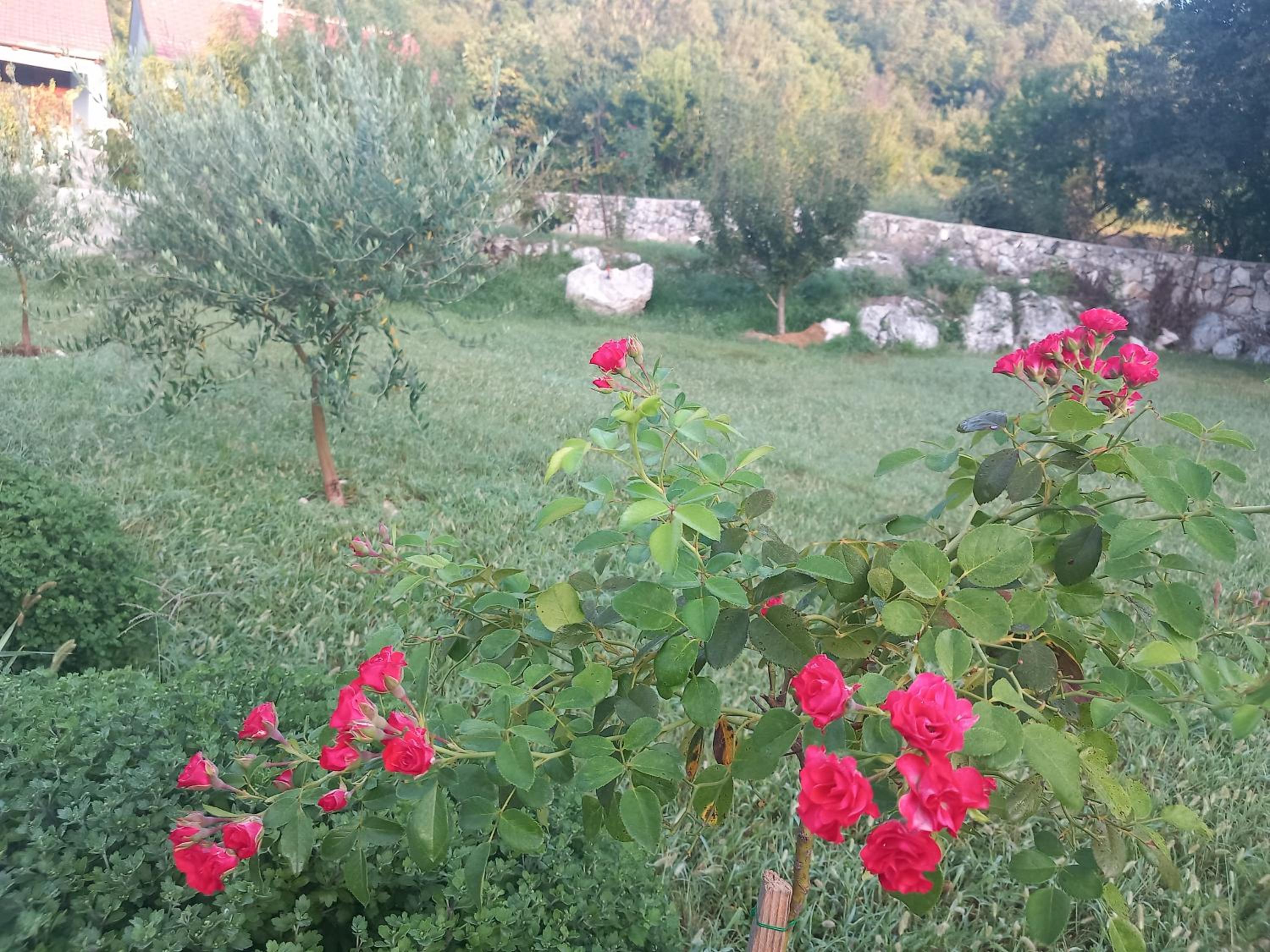 Photo 35