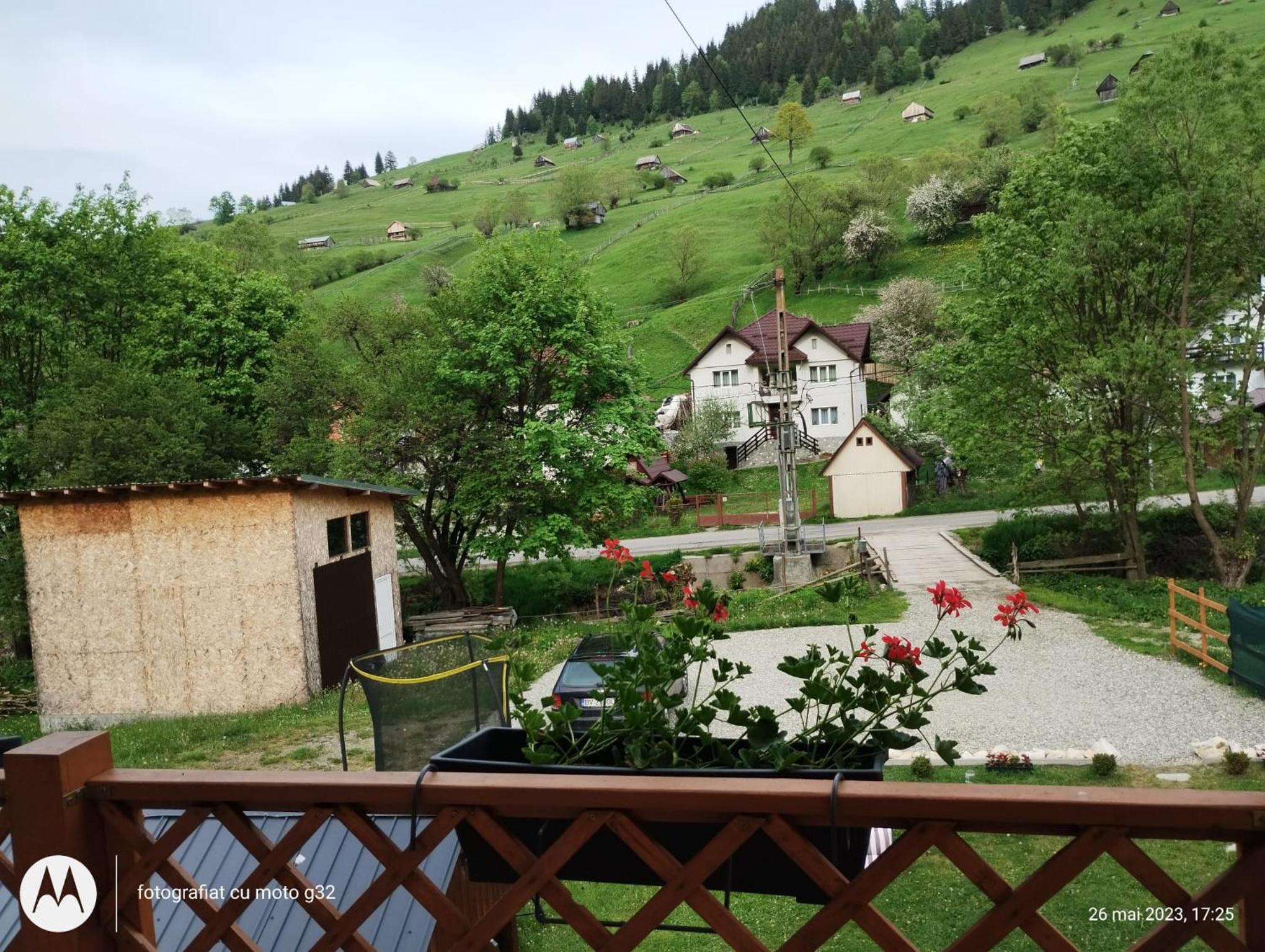Photo 24