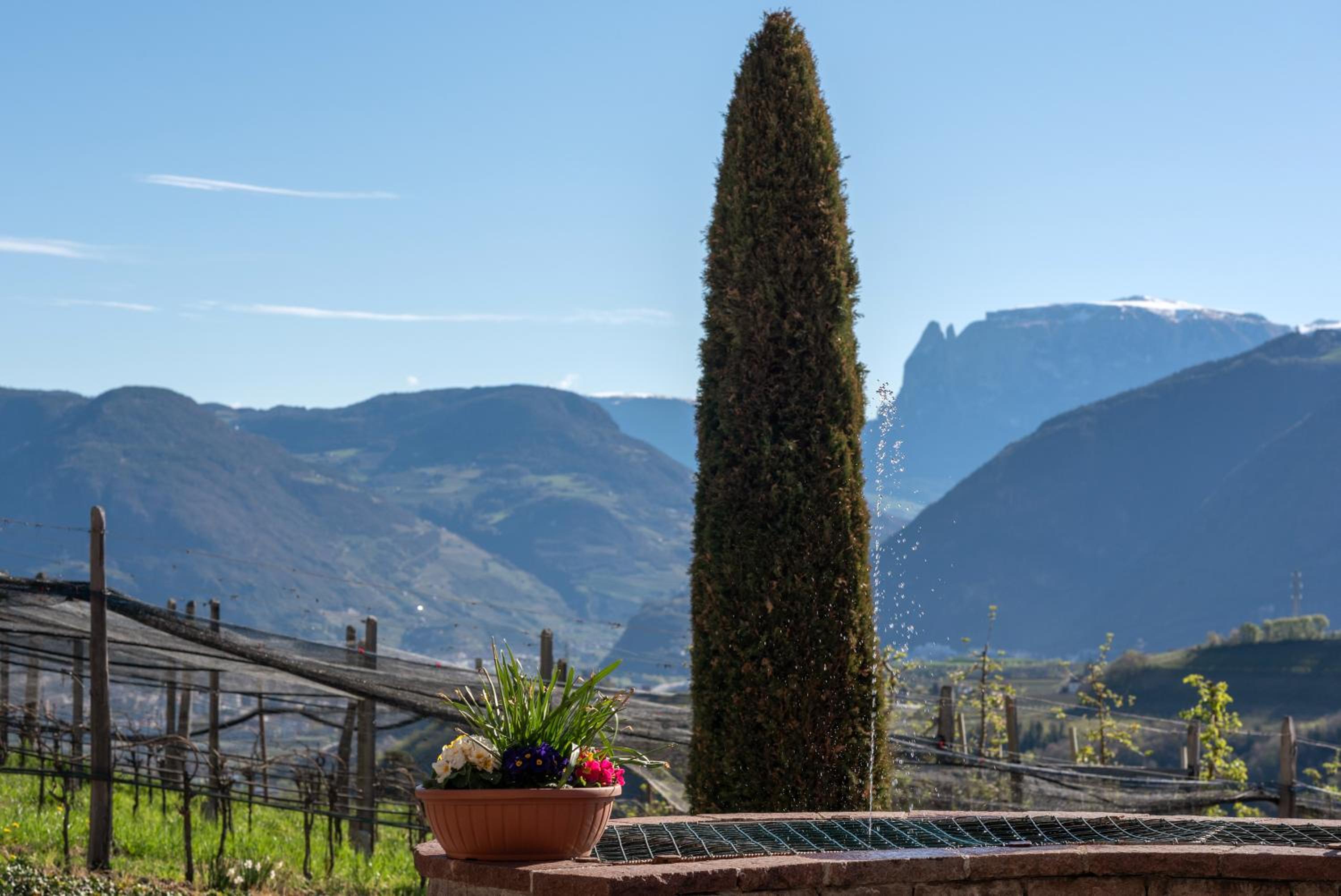 Villa Montis Exclusive Holiday Apartments in Eppan with Spectacular Views of Dolomites and Bolzano Area view 4