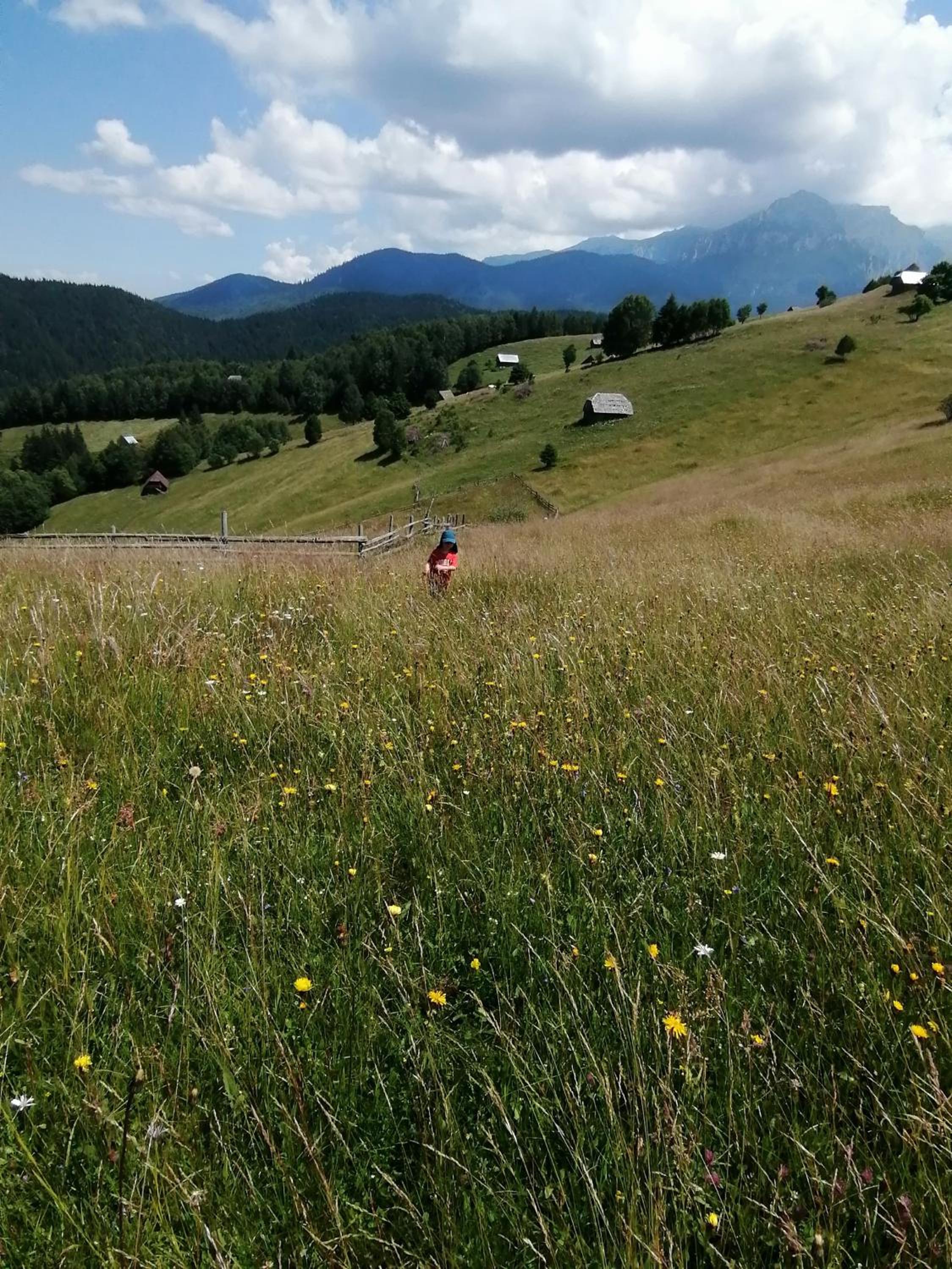 Photo 48