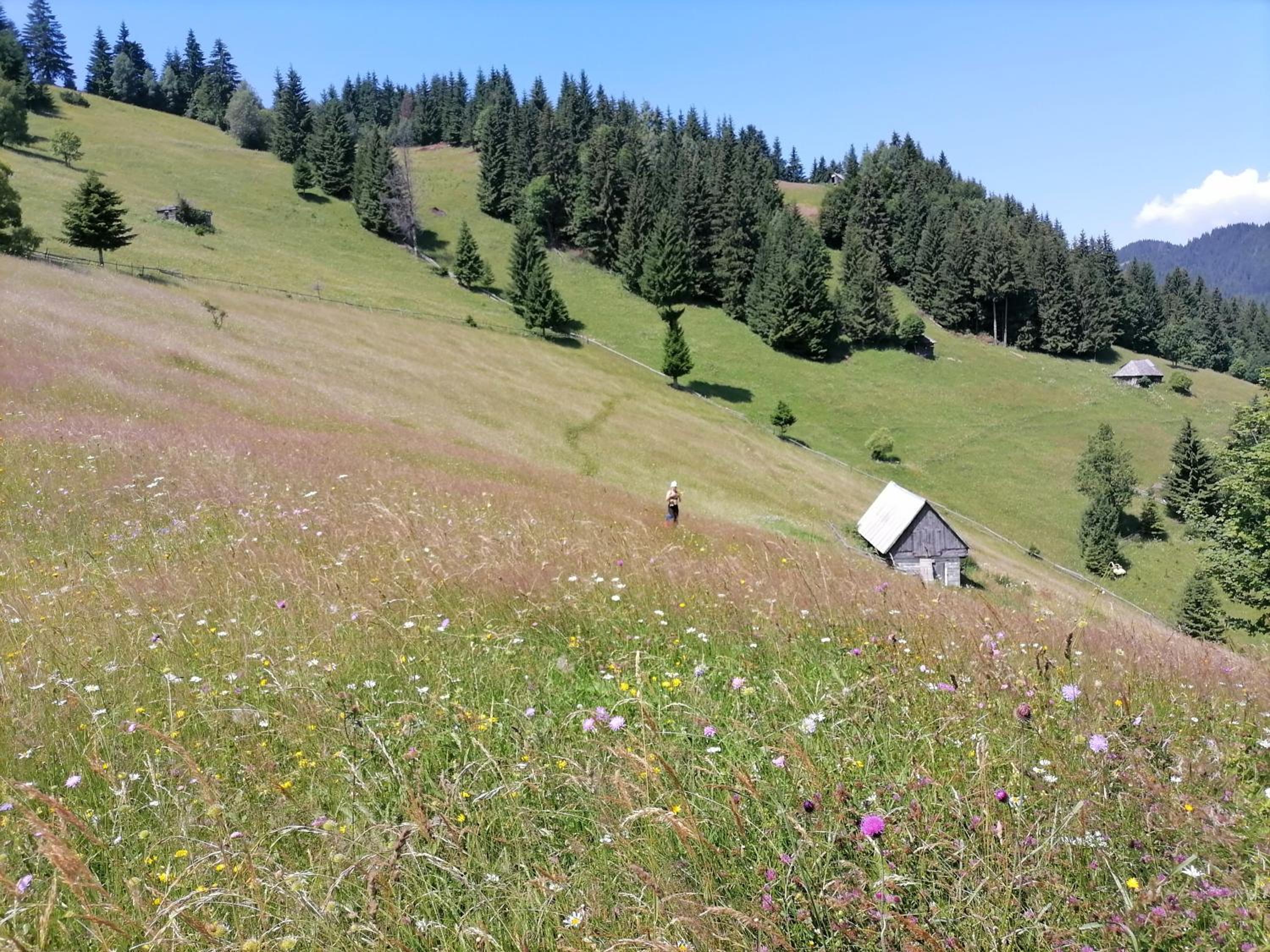Căsuța lui Matei view 2