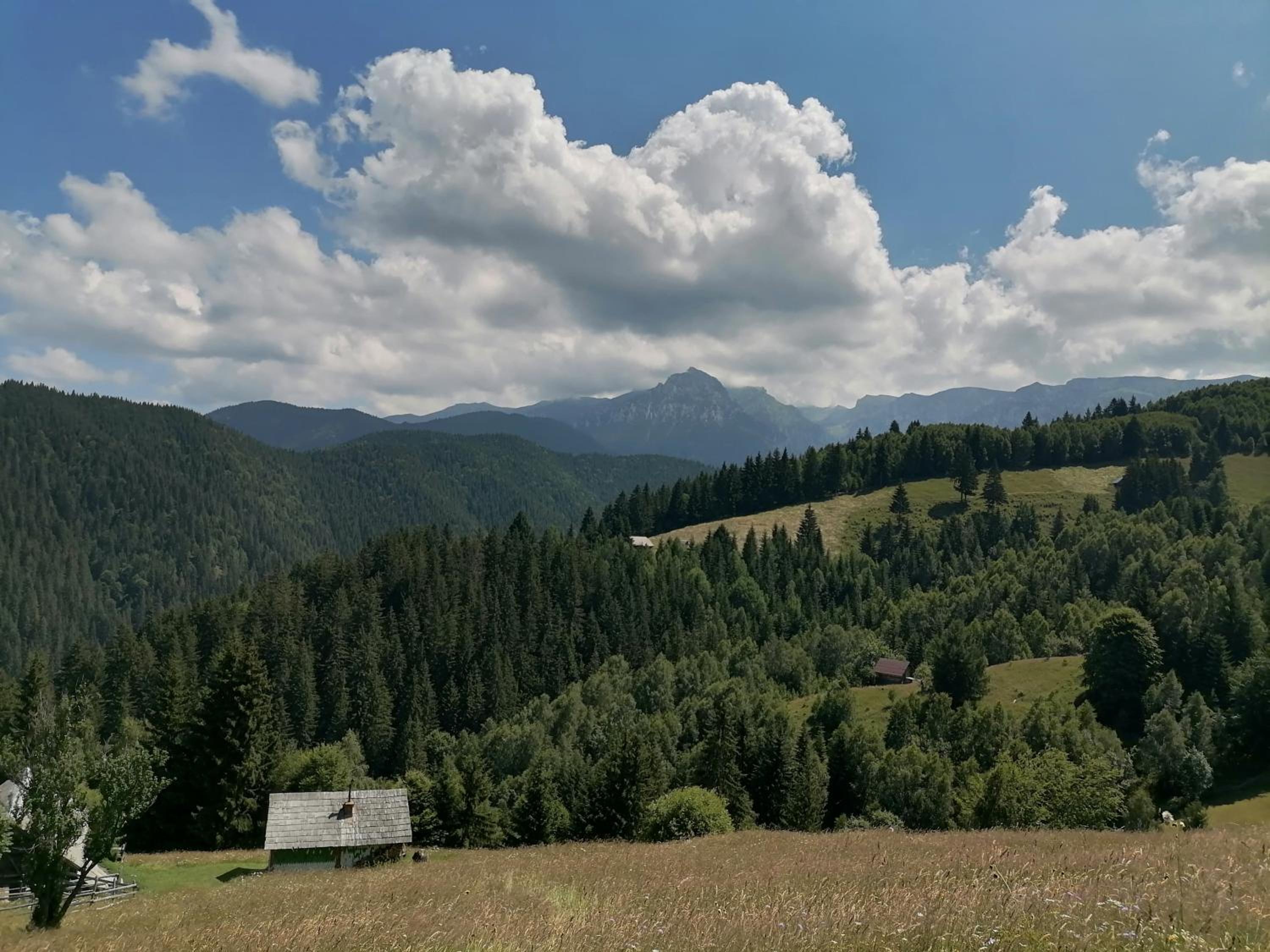 Căsuța lui Matei view 3