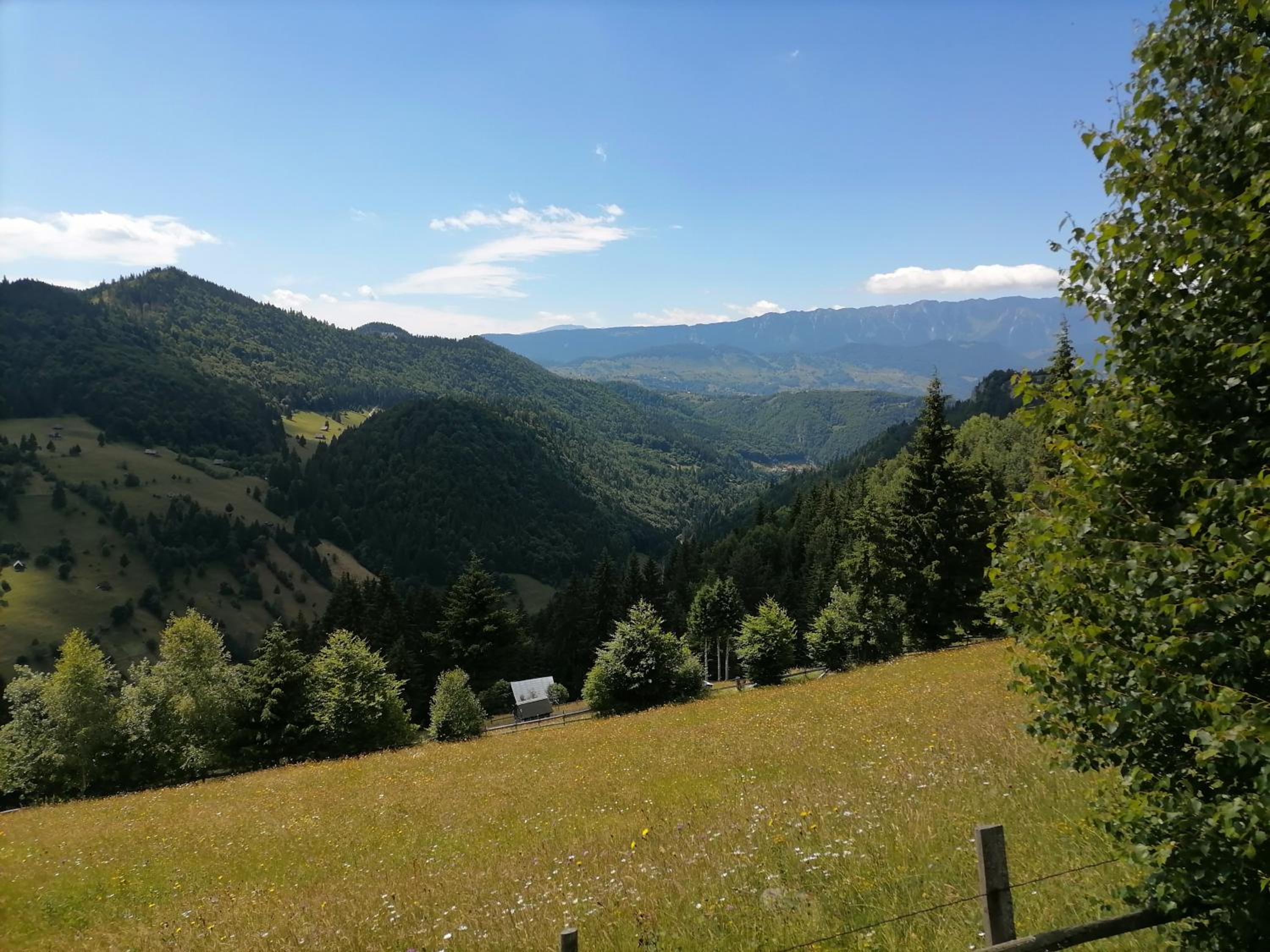 Căsuța lui Matei view 4