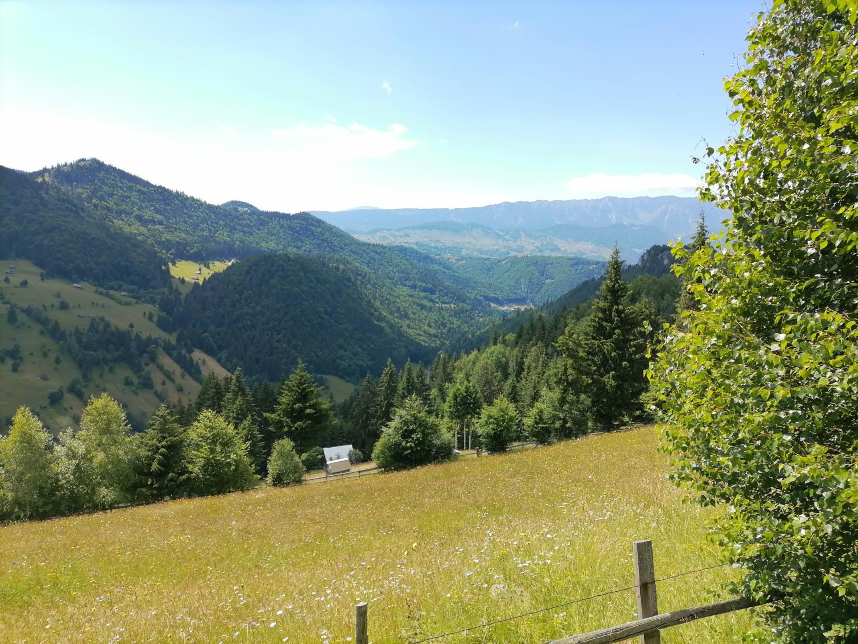 Căsuța lui Matei view 5