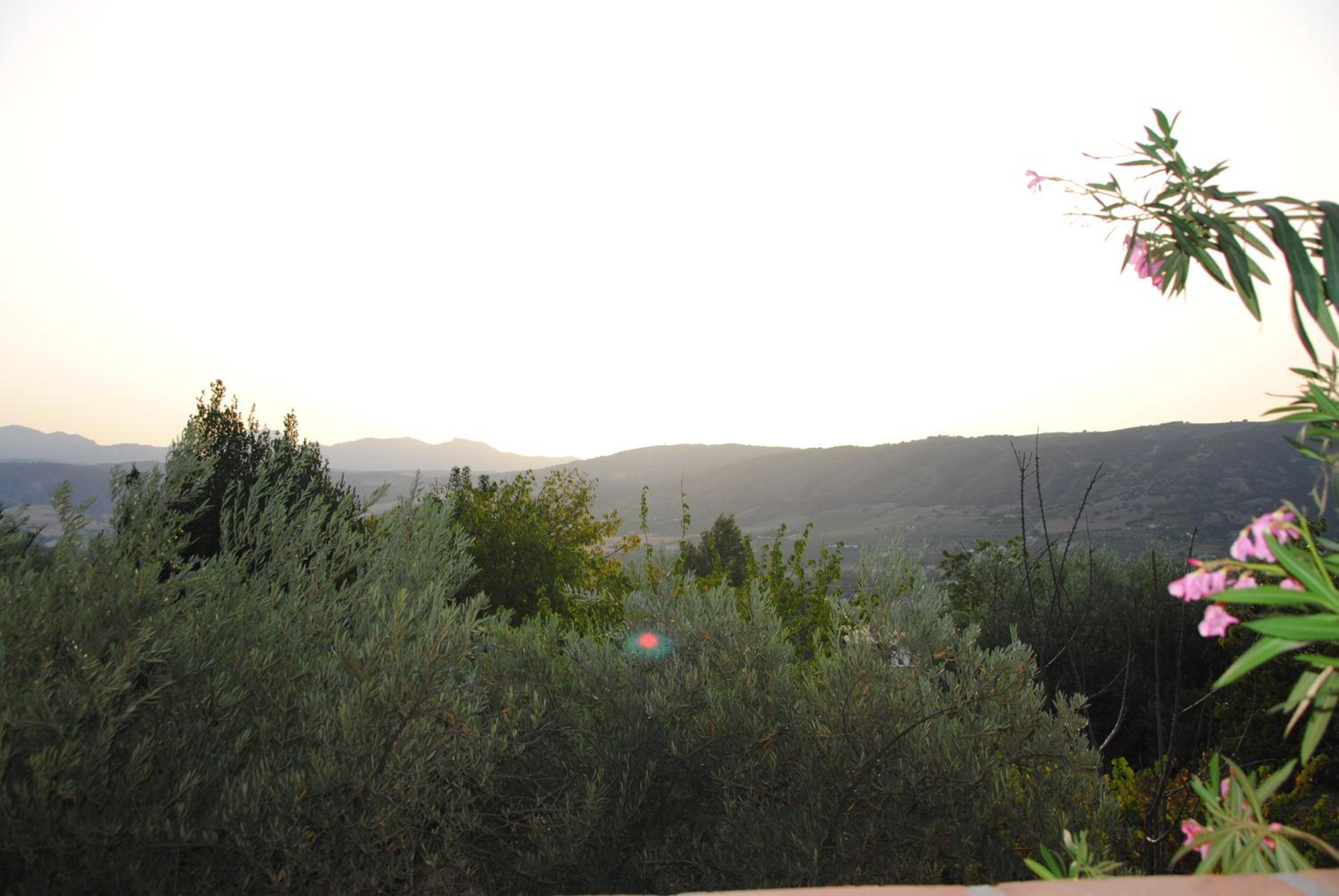 Photo 32