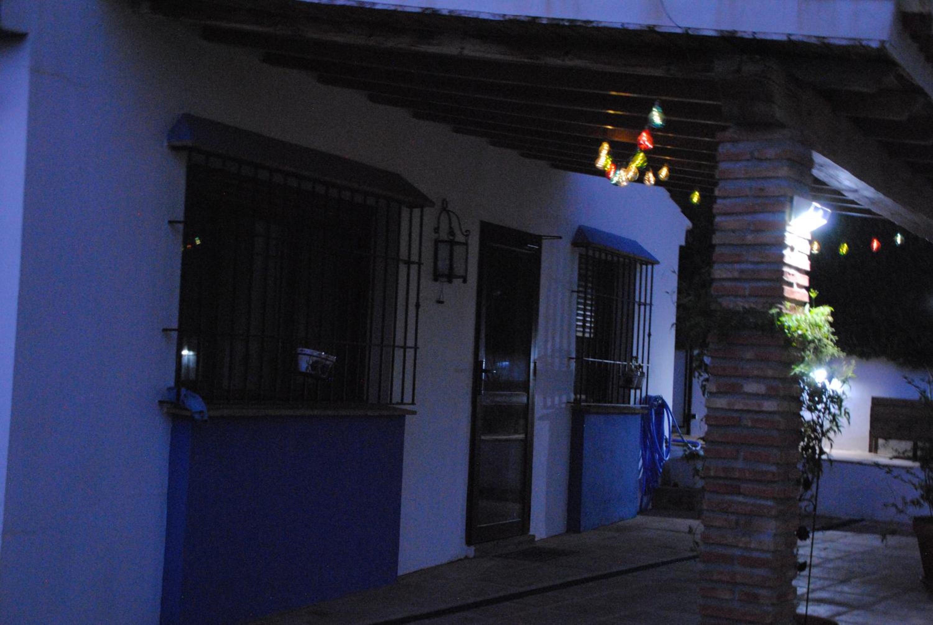 Photo 38