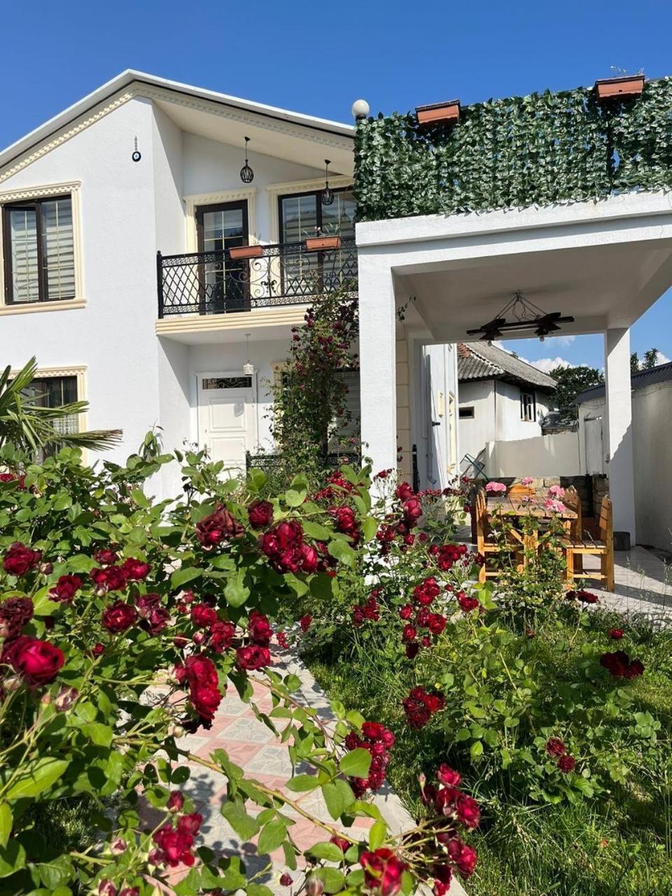 Qafqaz mountain white villa