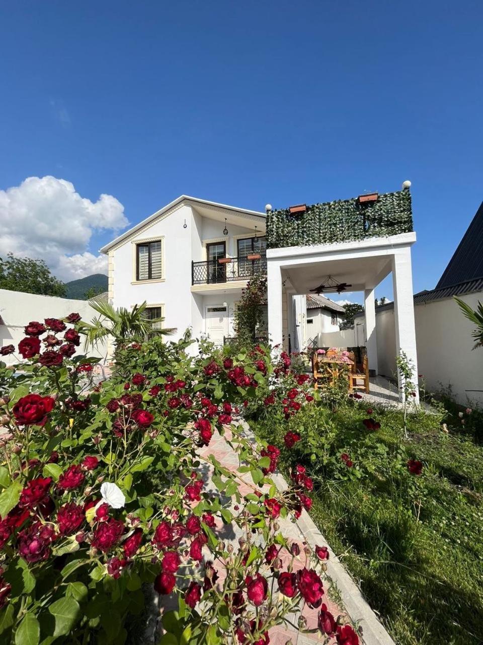 Qafqaz mountain white villa