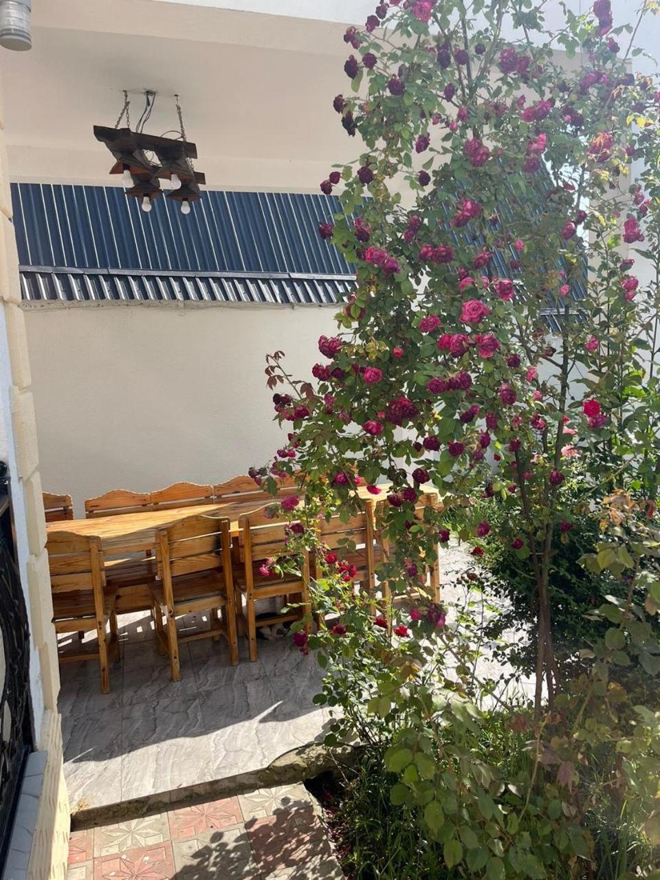 Qafqaz mountain white villa