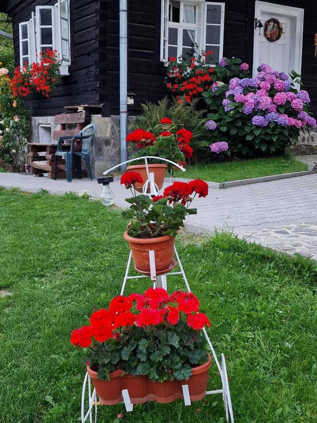 Photo 39