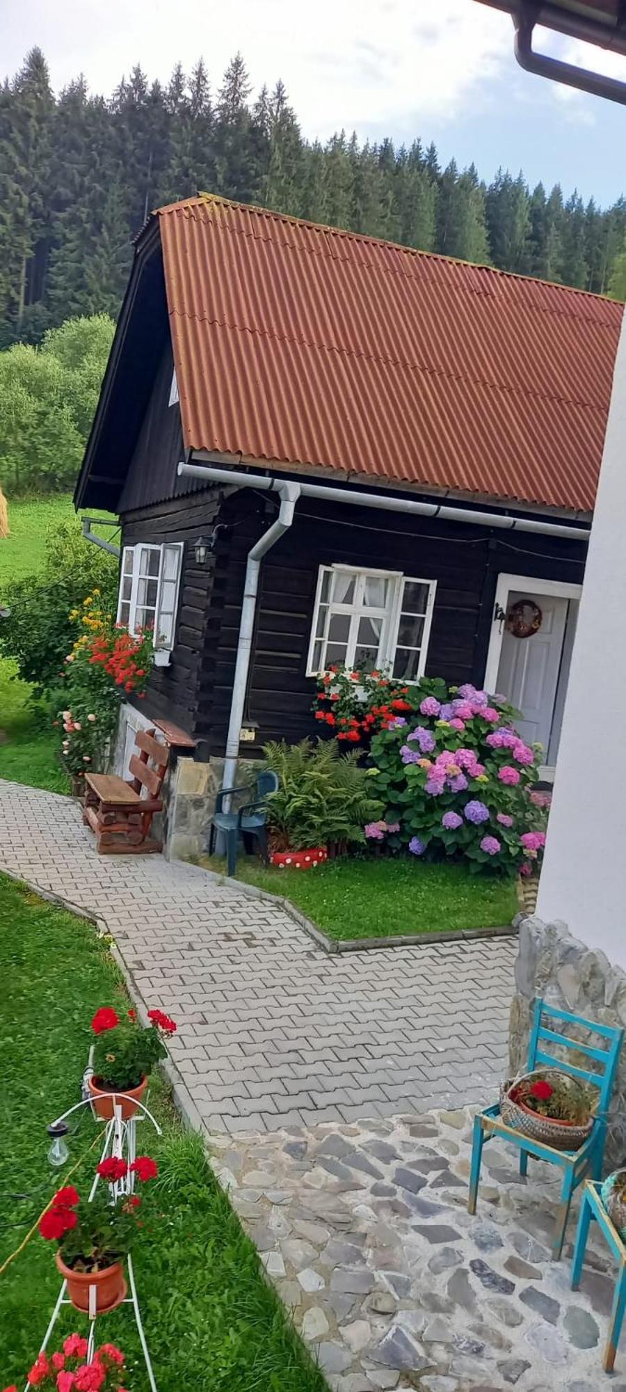 Photo 54