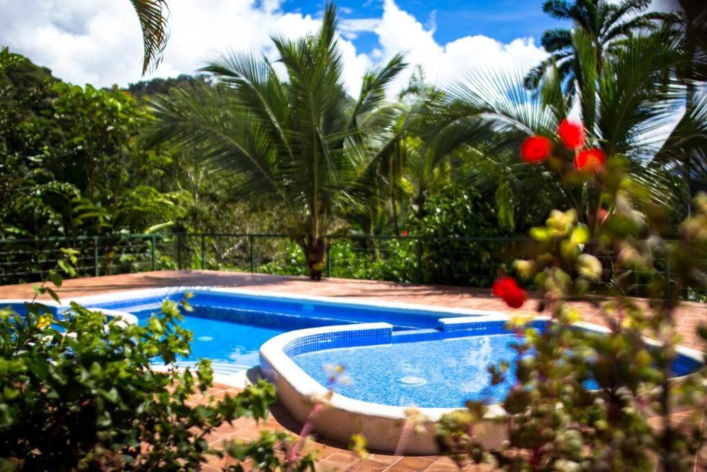 Pura Natura Lodge Arroyo