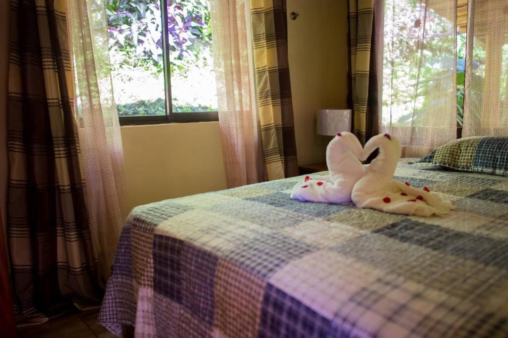 Pura Natura Lodge Arroyo