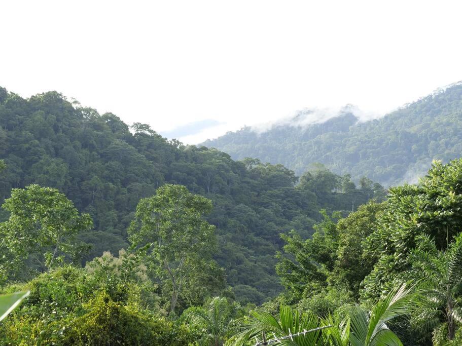 Pura Natura Lodge Arroyo