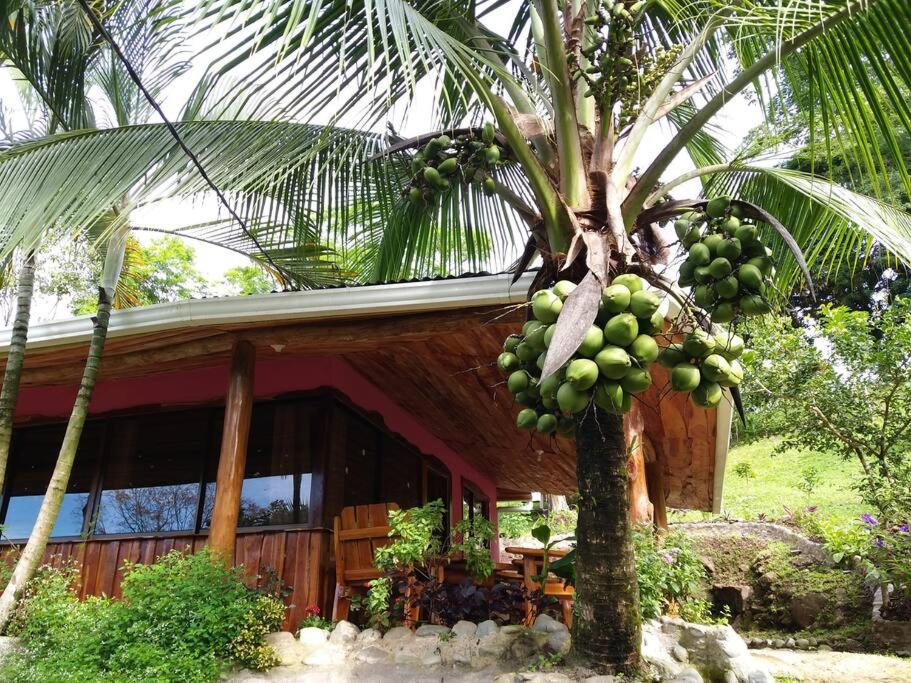 Pura Natura Lodge Arroyo