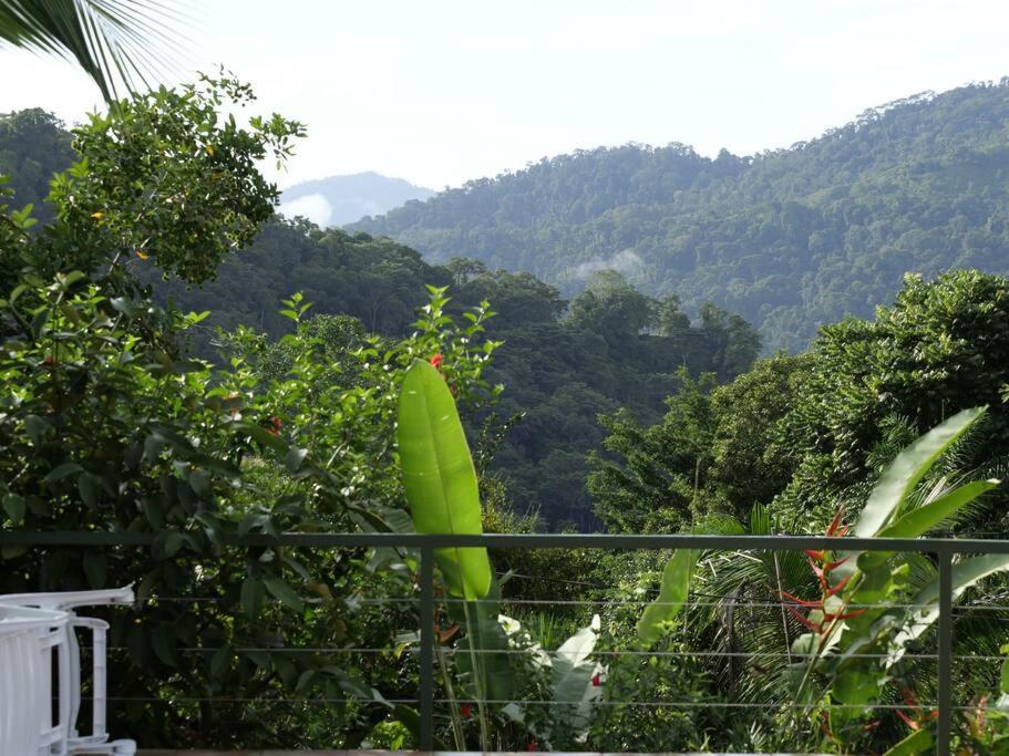 Pura Natura Lodge Arroyo