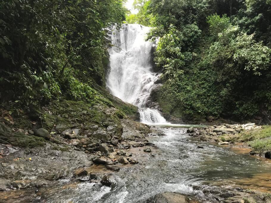 Pura Natura Lodge Arroyo