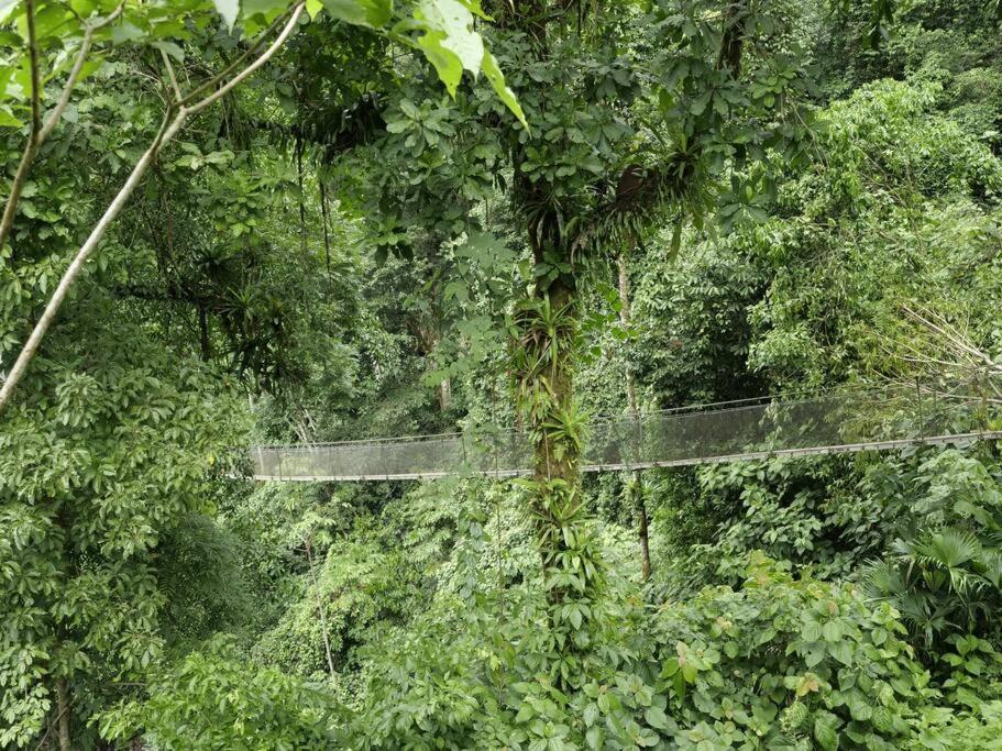 Pura Natura Lodge Arroyo