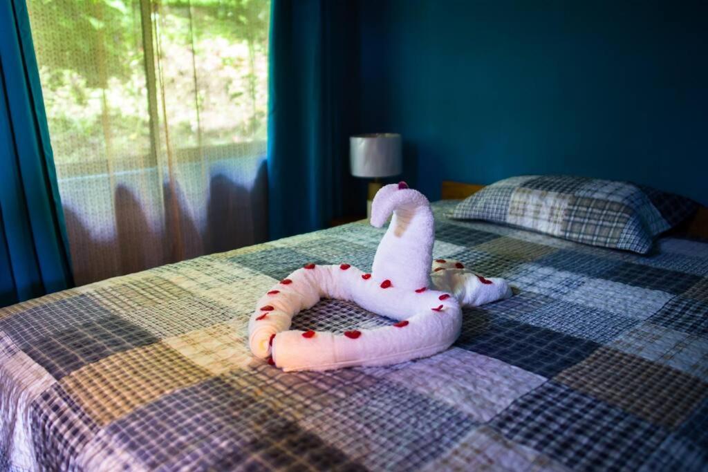 Pura Natura Lodge Arroyo