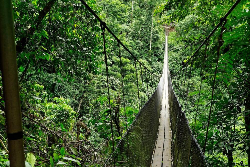 Pura Natura Lodge Arroyo