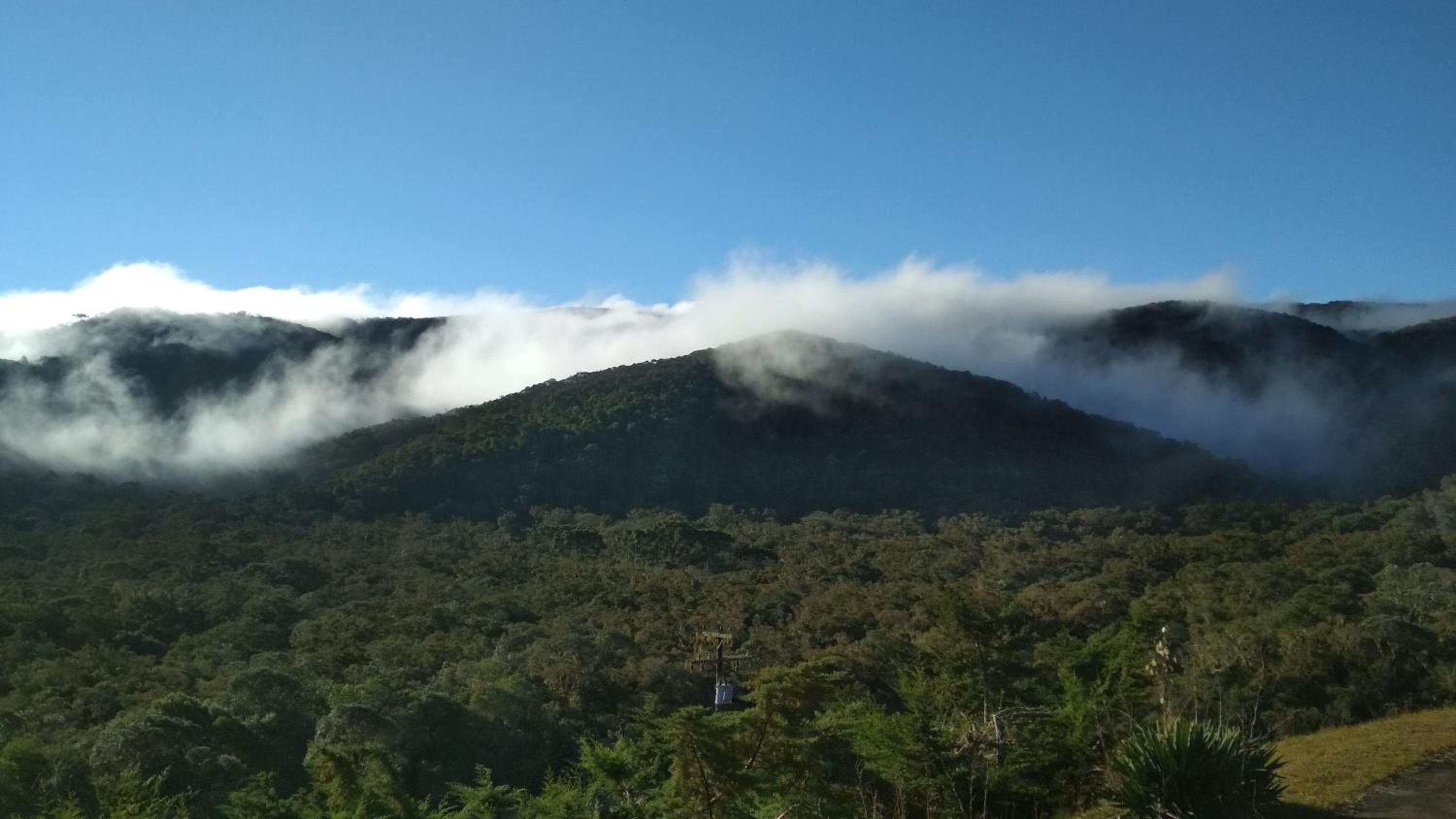 Campos da Bocaina