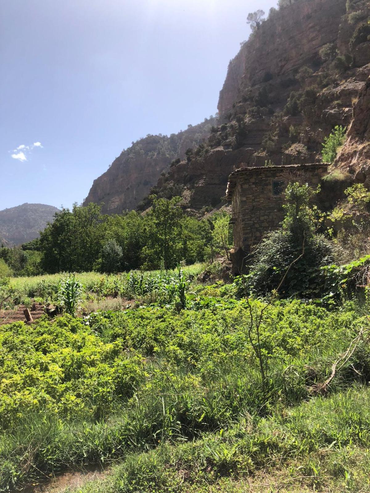 Gite Ifoulou Tassaout view 2