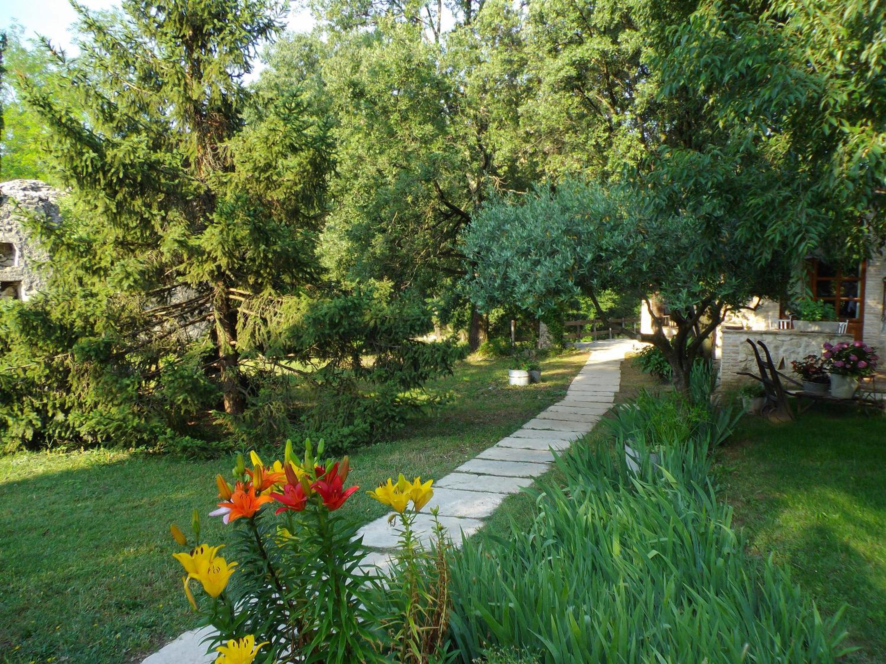Photo 21