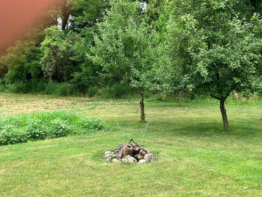 Cozy Oaks Cabin view 2
