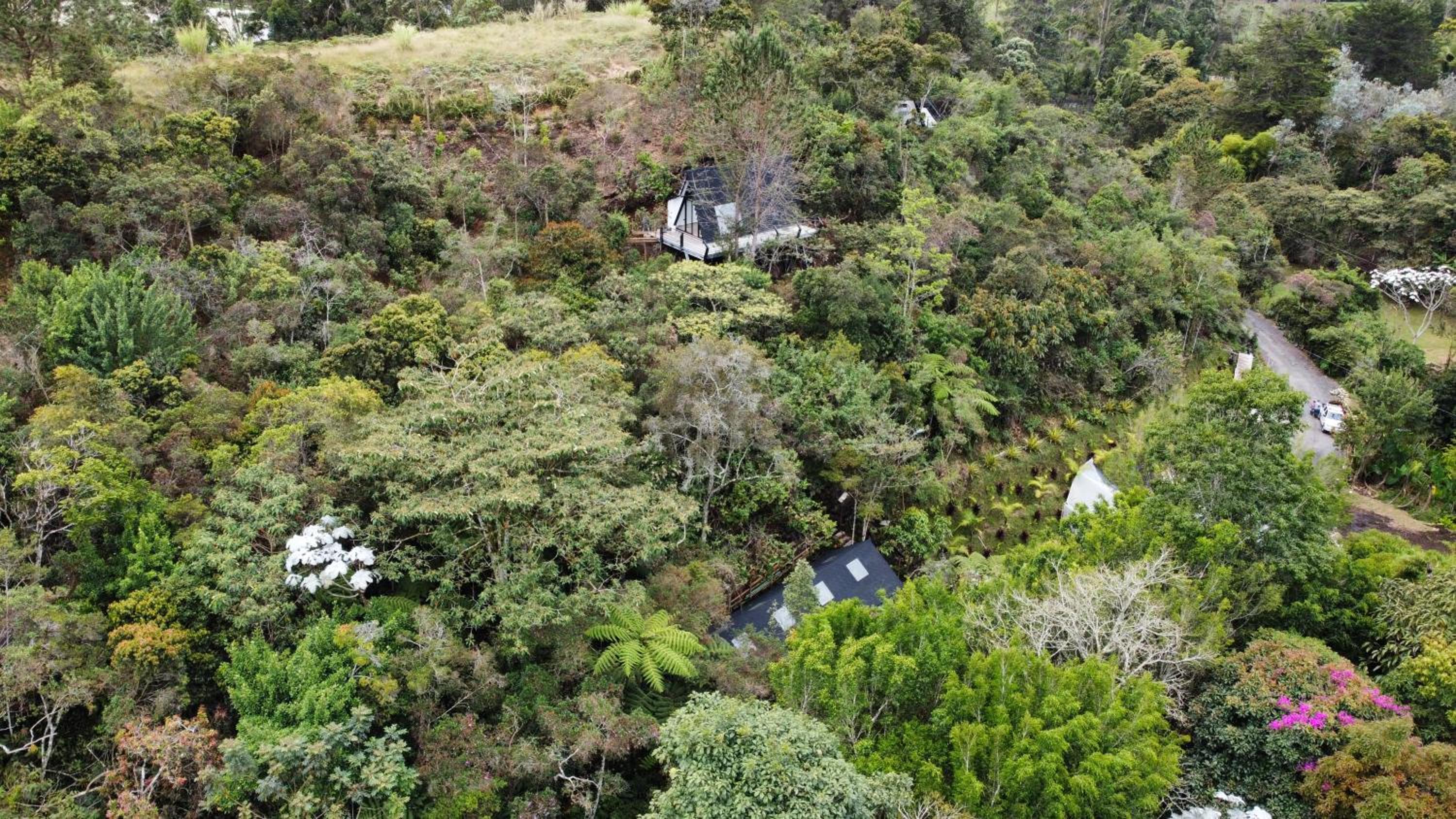 Ecoluxury Glamping