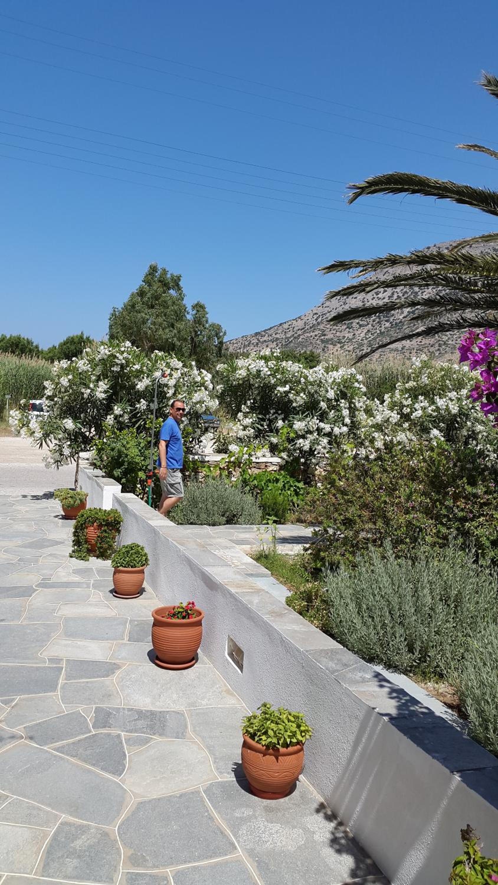 Morpheas Accommodation Sifnos