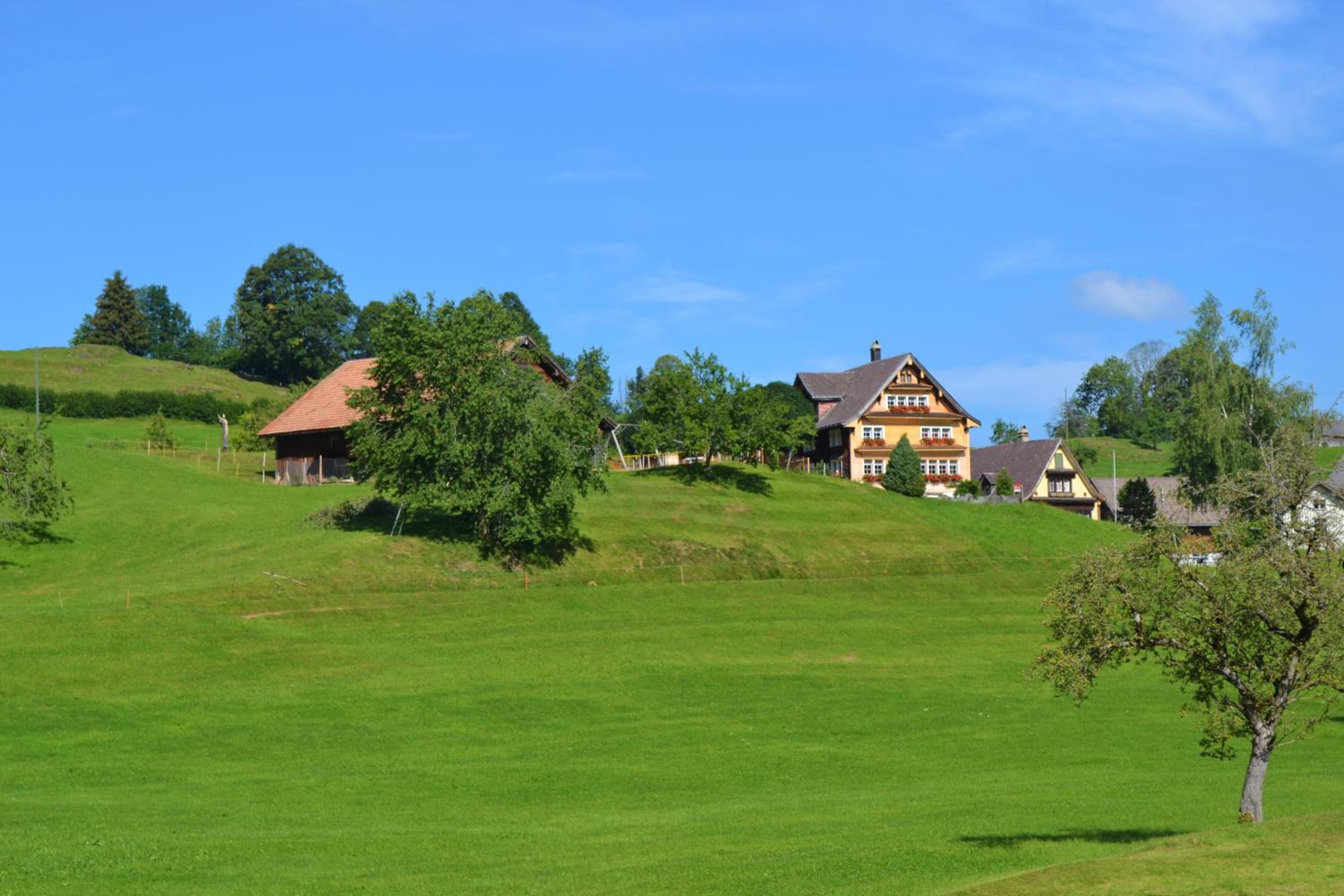 BnB-Blomberg