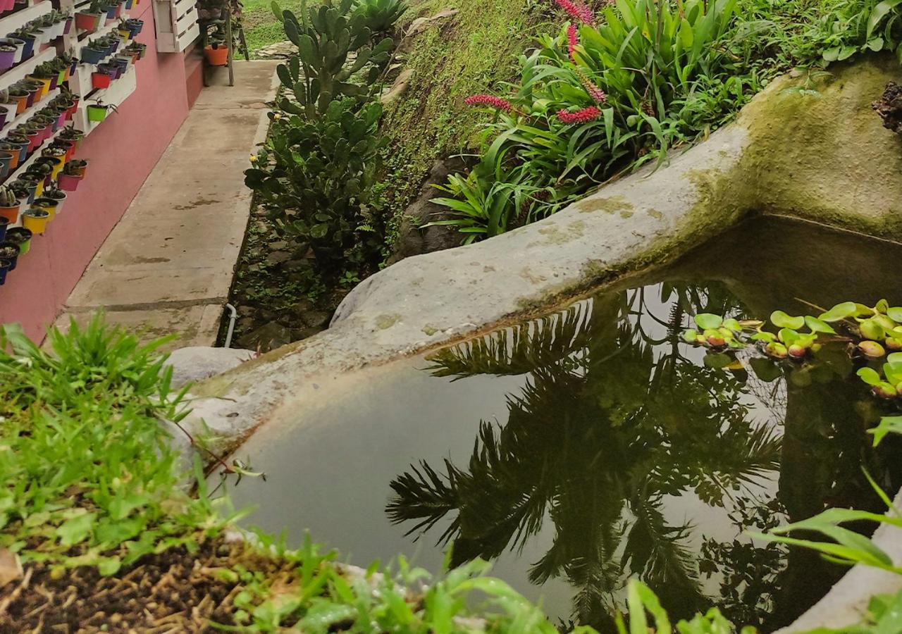 Hostal El Naranjito Filandia