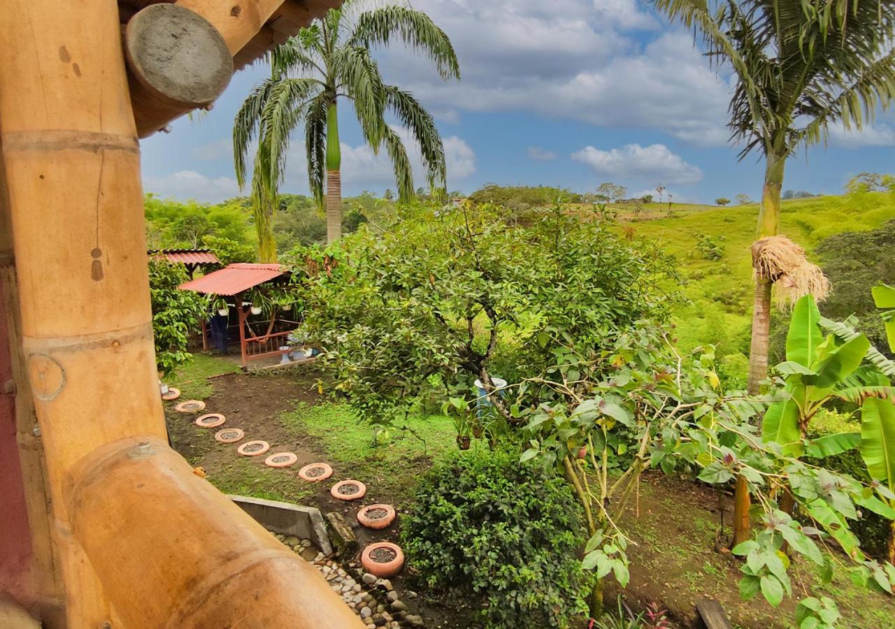 Hostal El Naranjito Filandia
