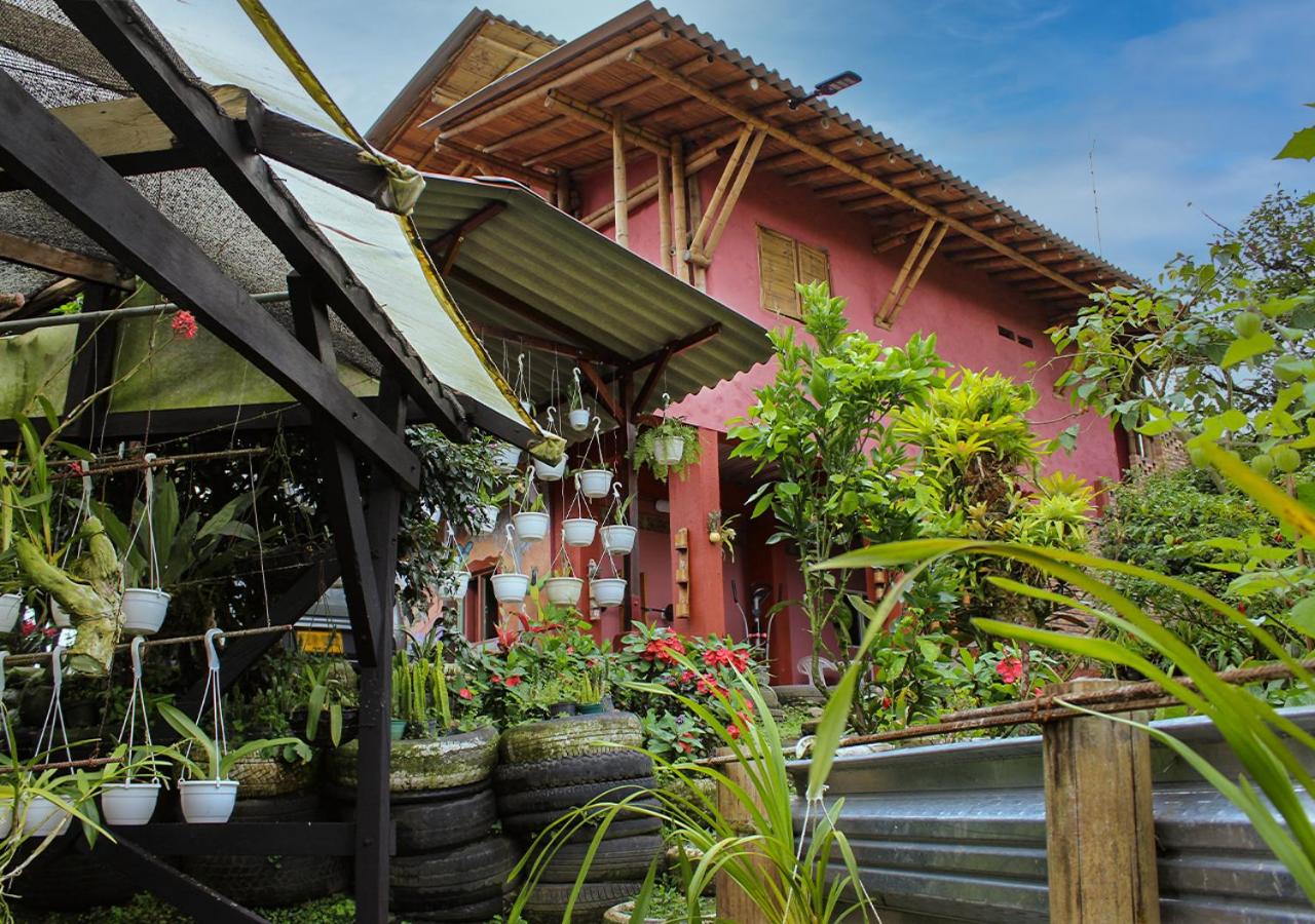 Hostal El Naranjito Filandia