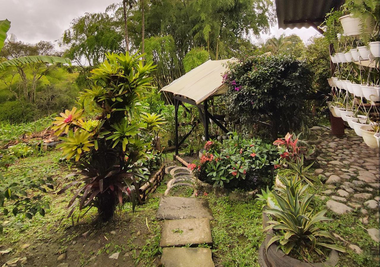 Hostal El Naranjito Filandia