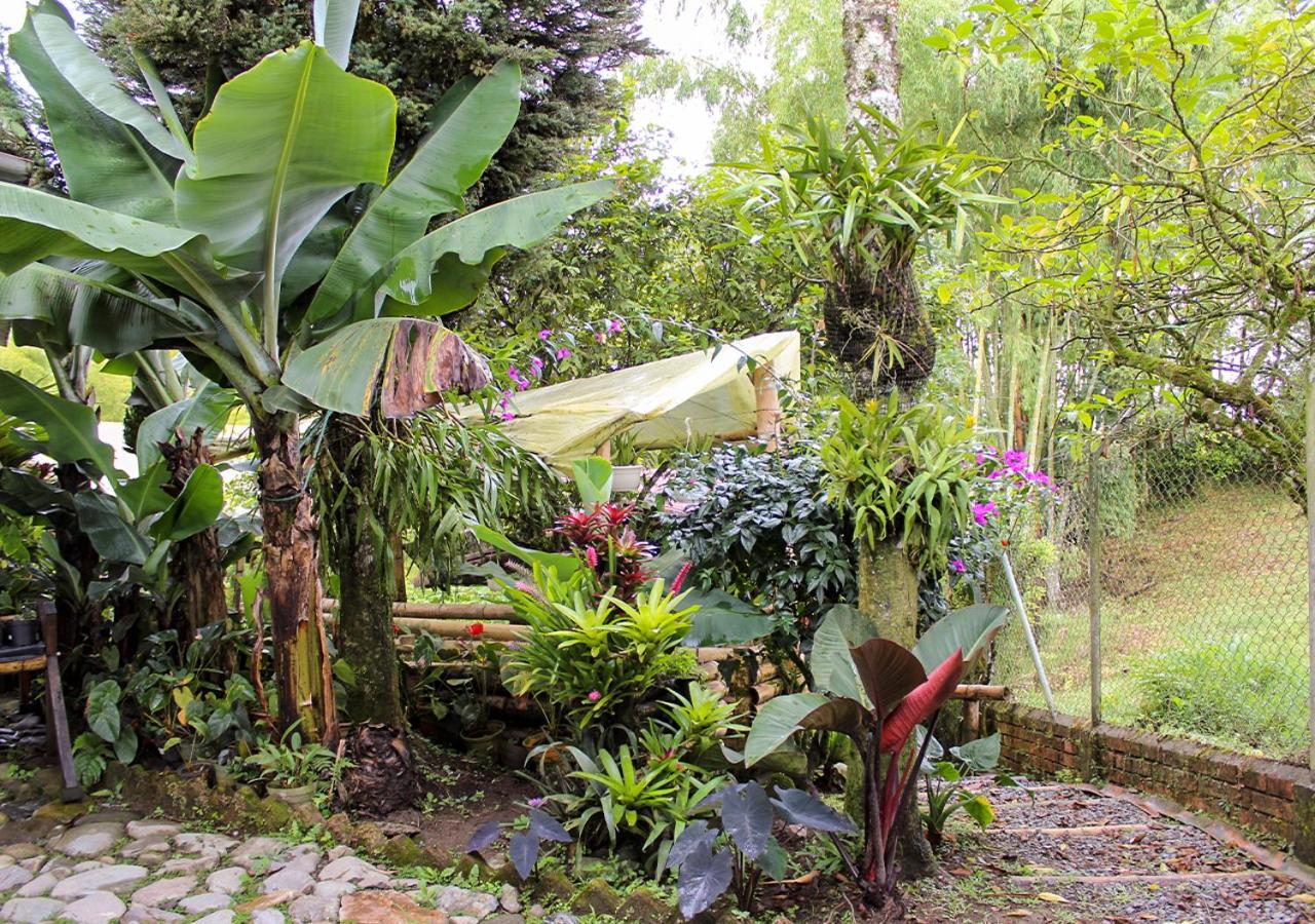 Hostal El Naranjito Filandia