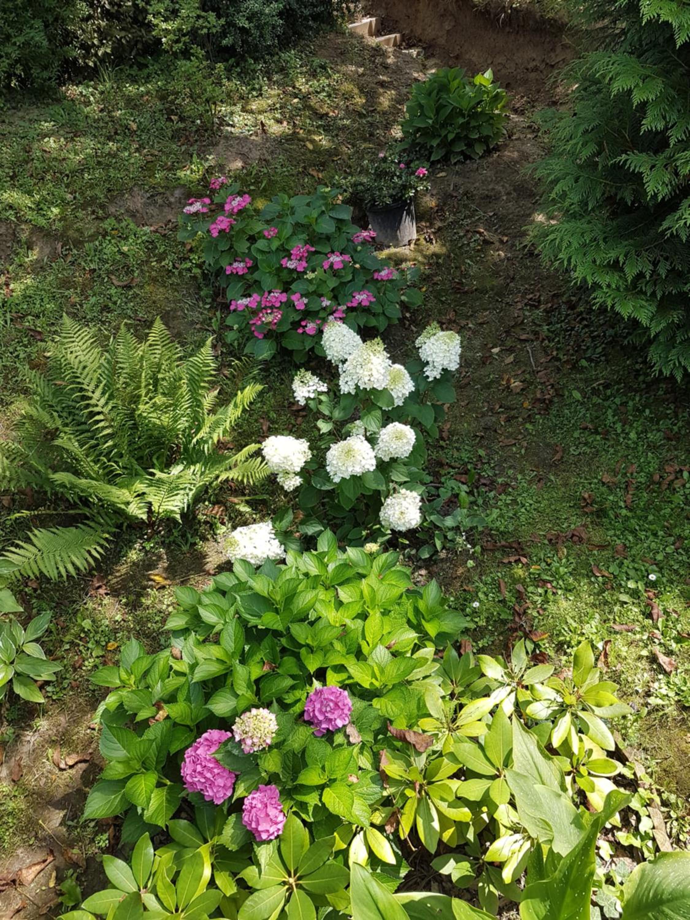 Photo 31