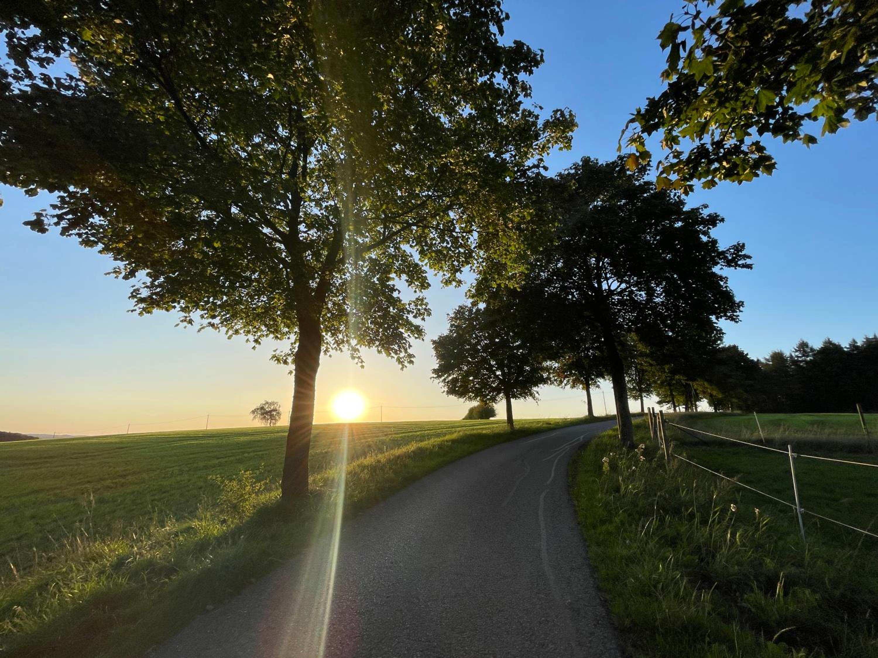 Auszeit Altenhorst, Gartenferienwohnung