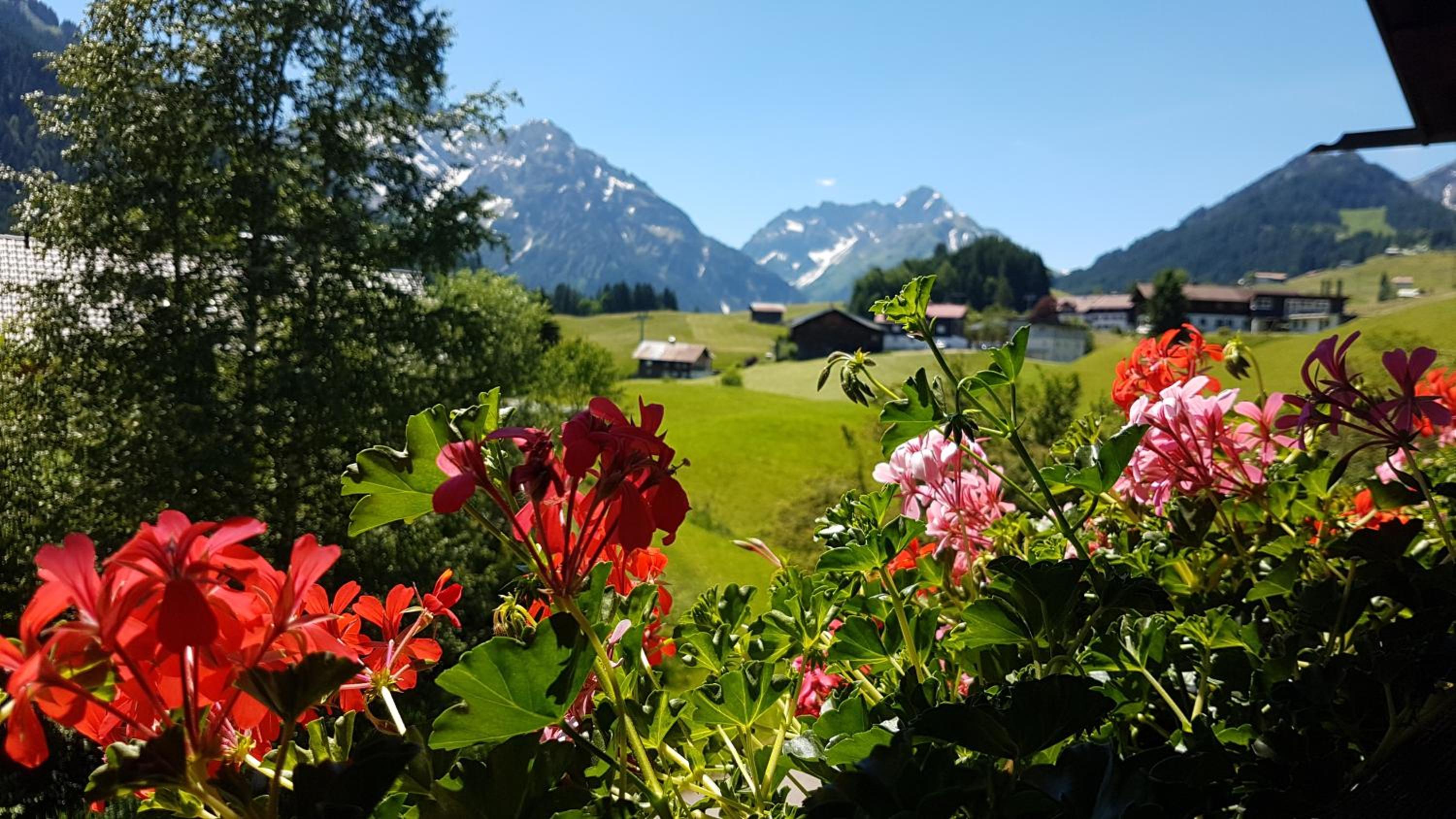 Haus Bergliebe Kleinwalsertal