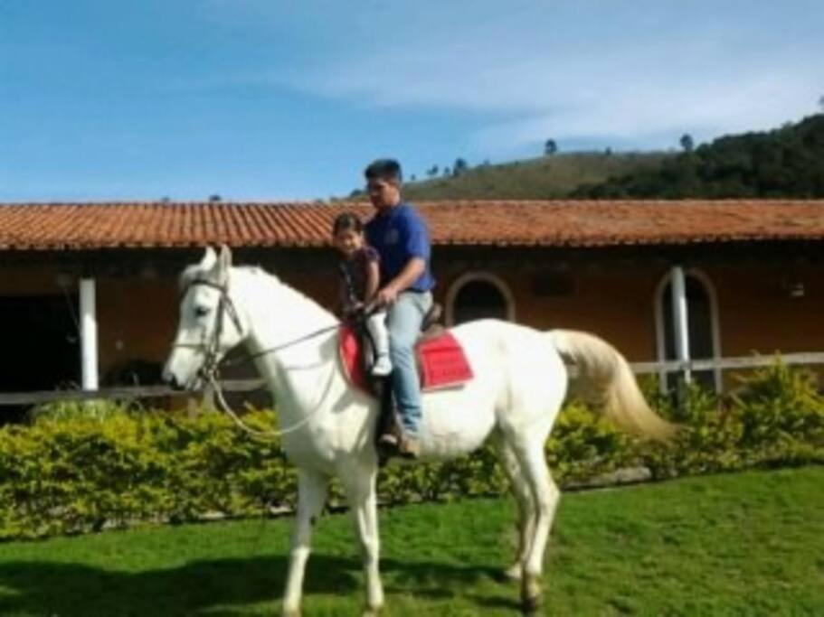 Fazenda Água Clara