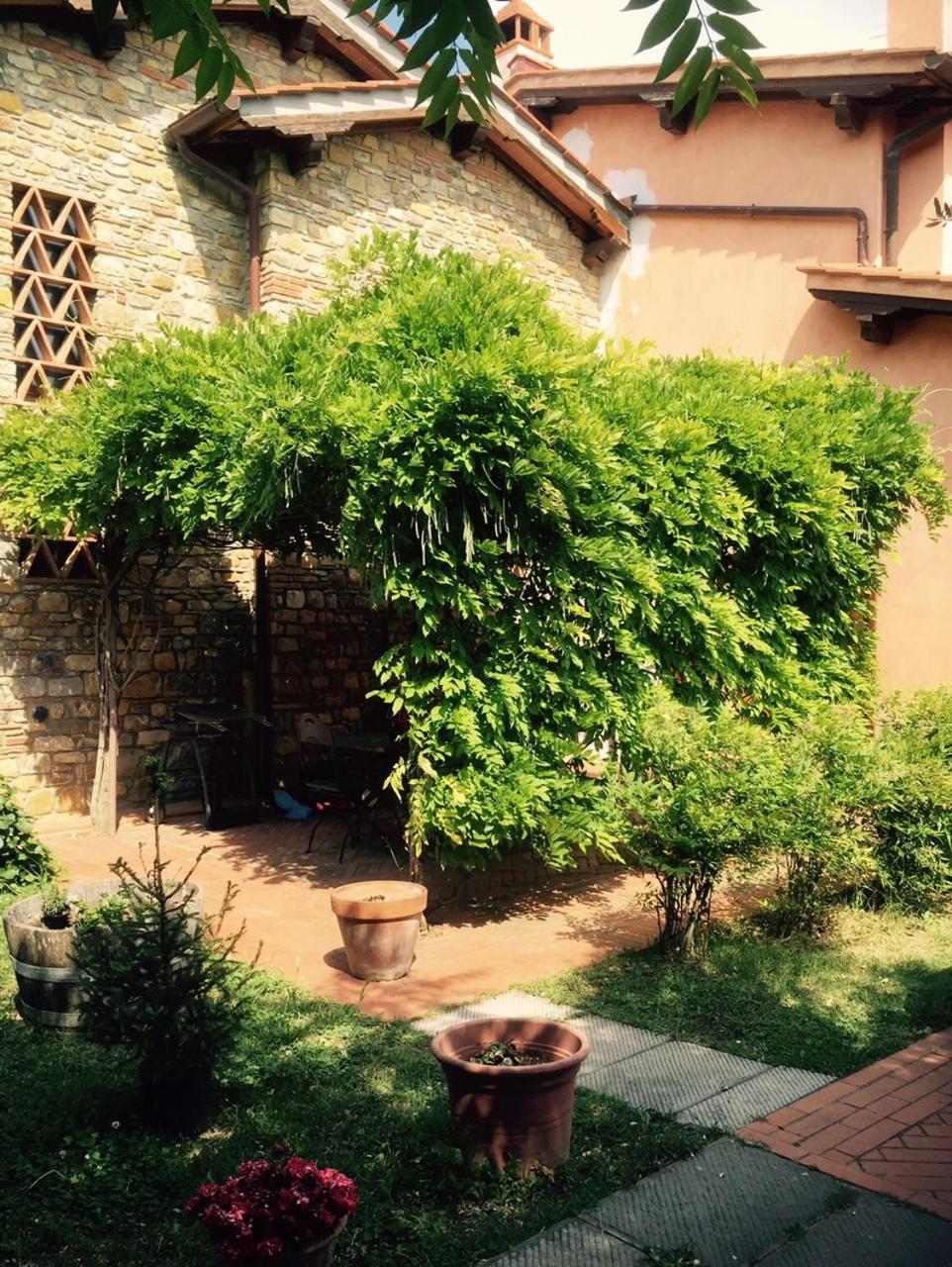 Rosso Del Chianti view 5