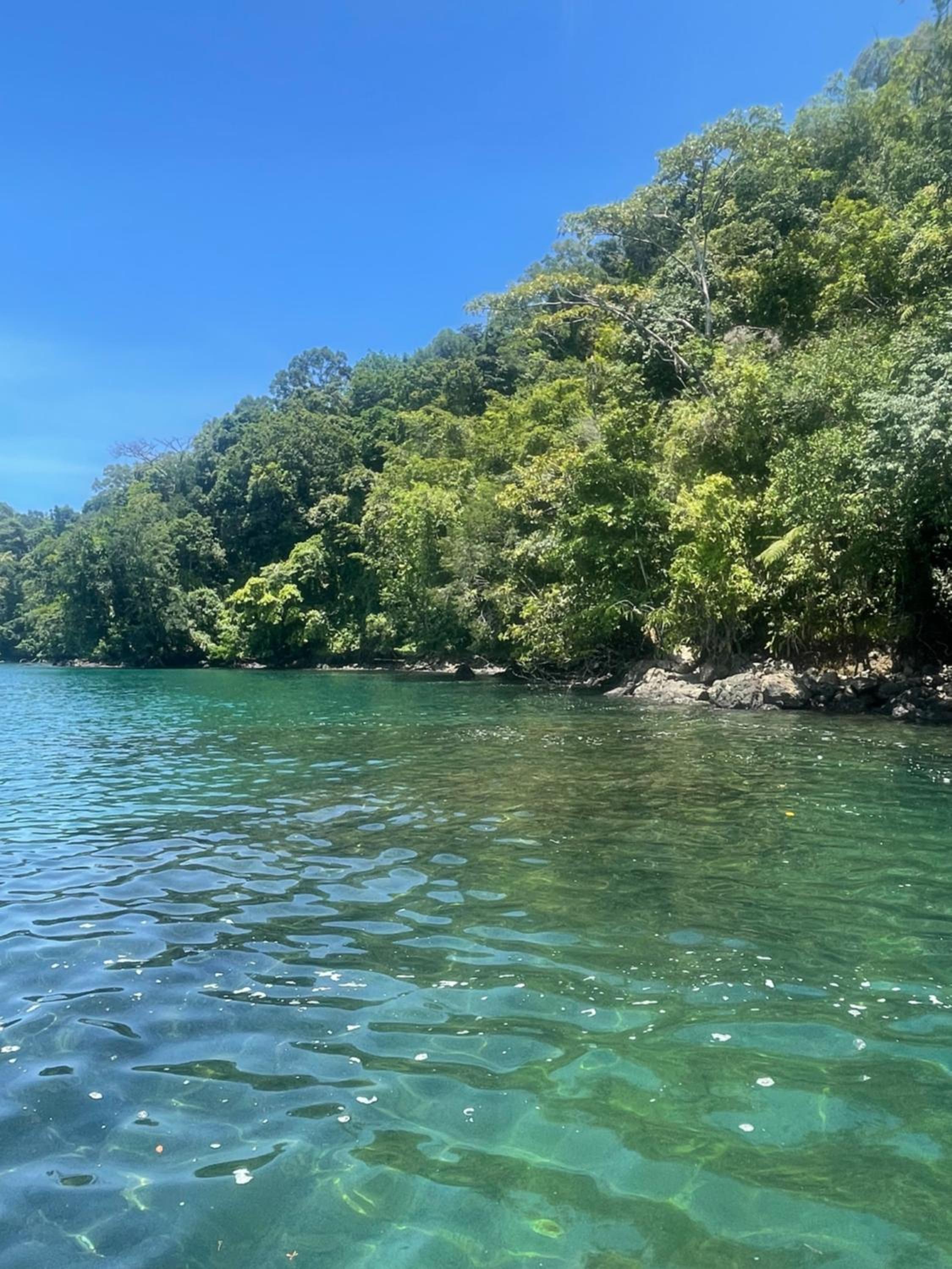 Orígenes Eco Refugio