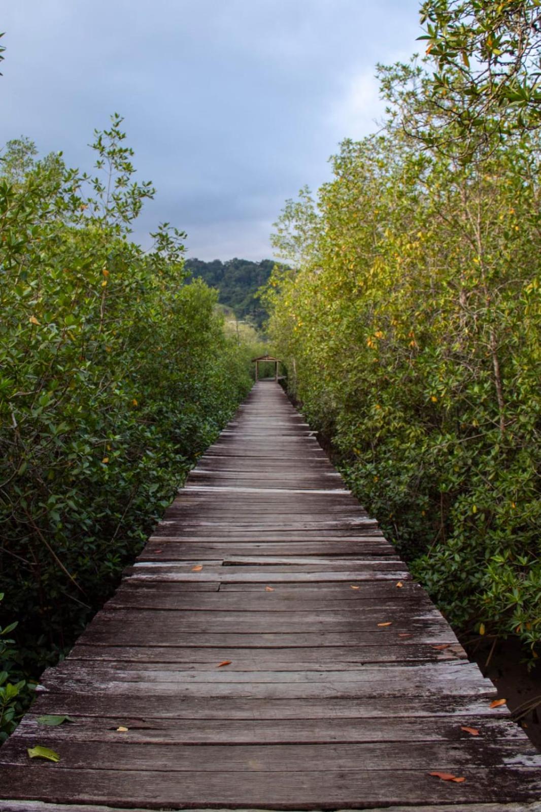 Orígenes Eco Refugio
