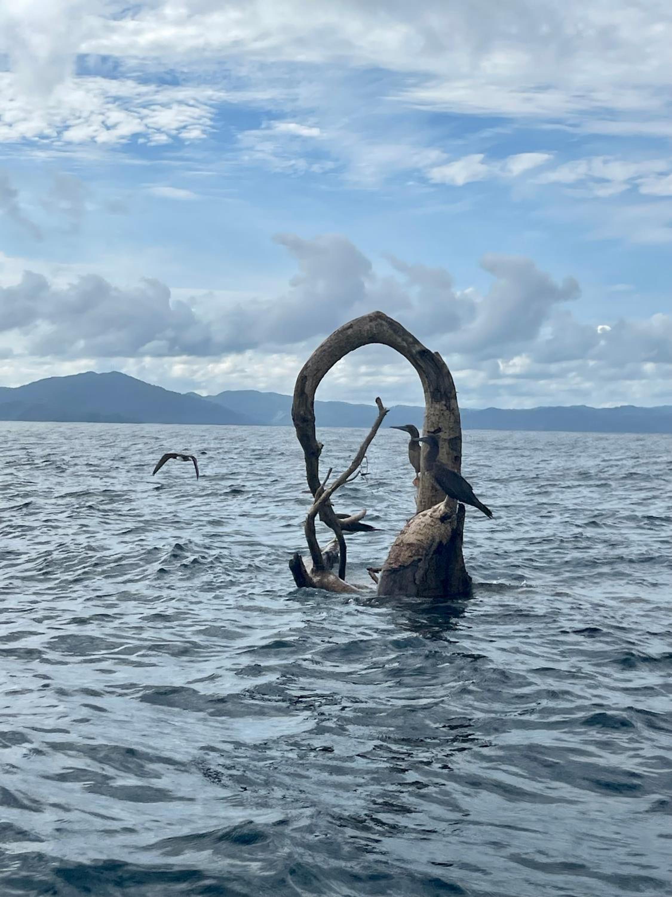 Orígenes Eco Refugio