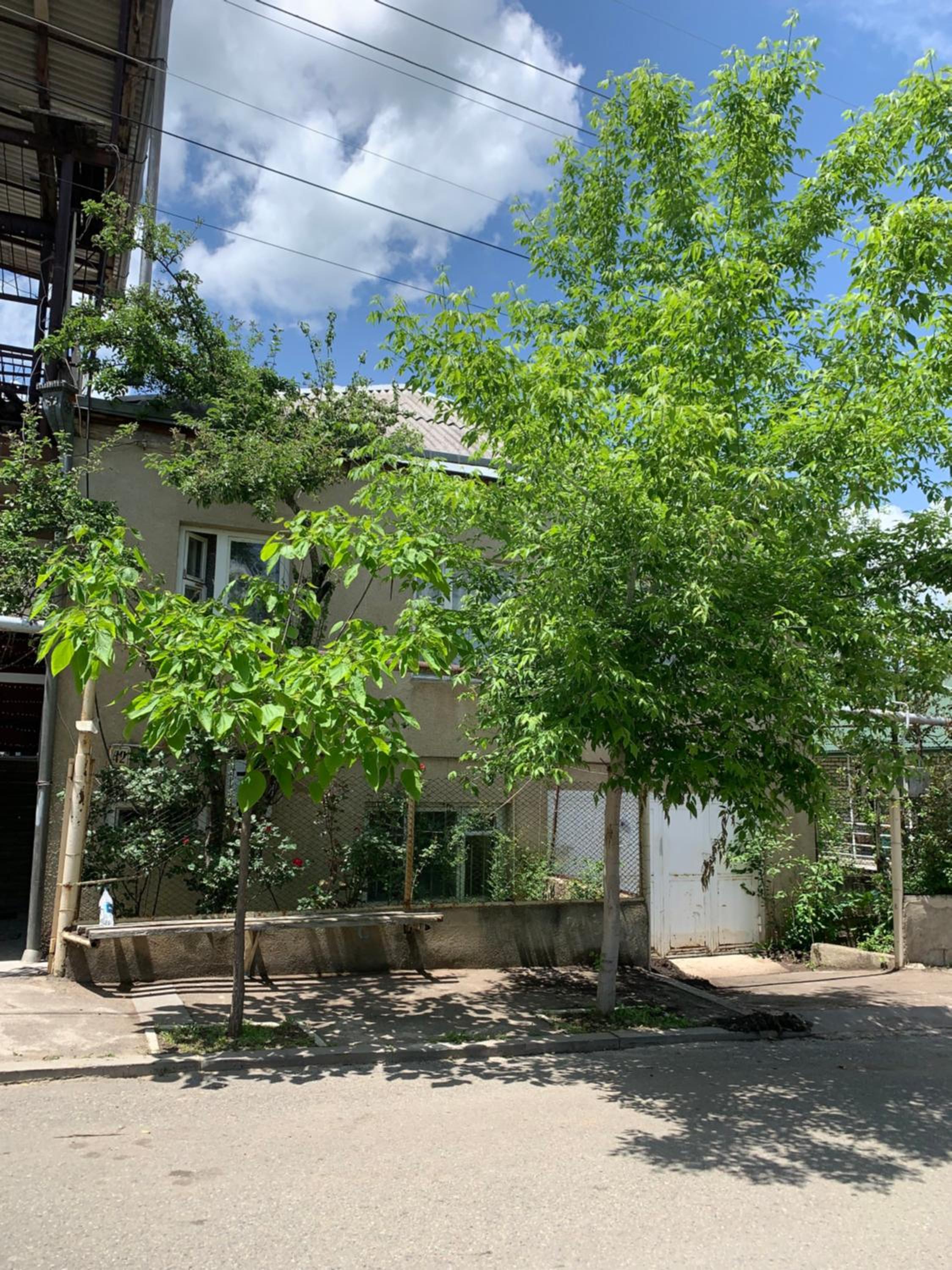 DendroBak GuestHouse