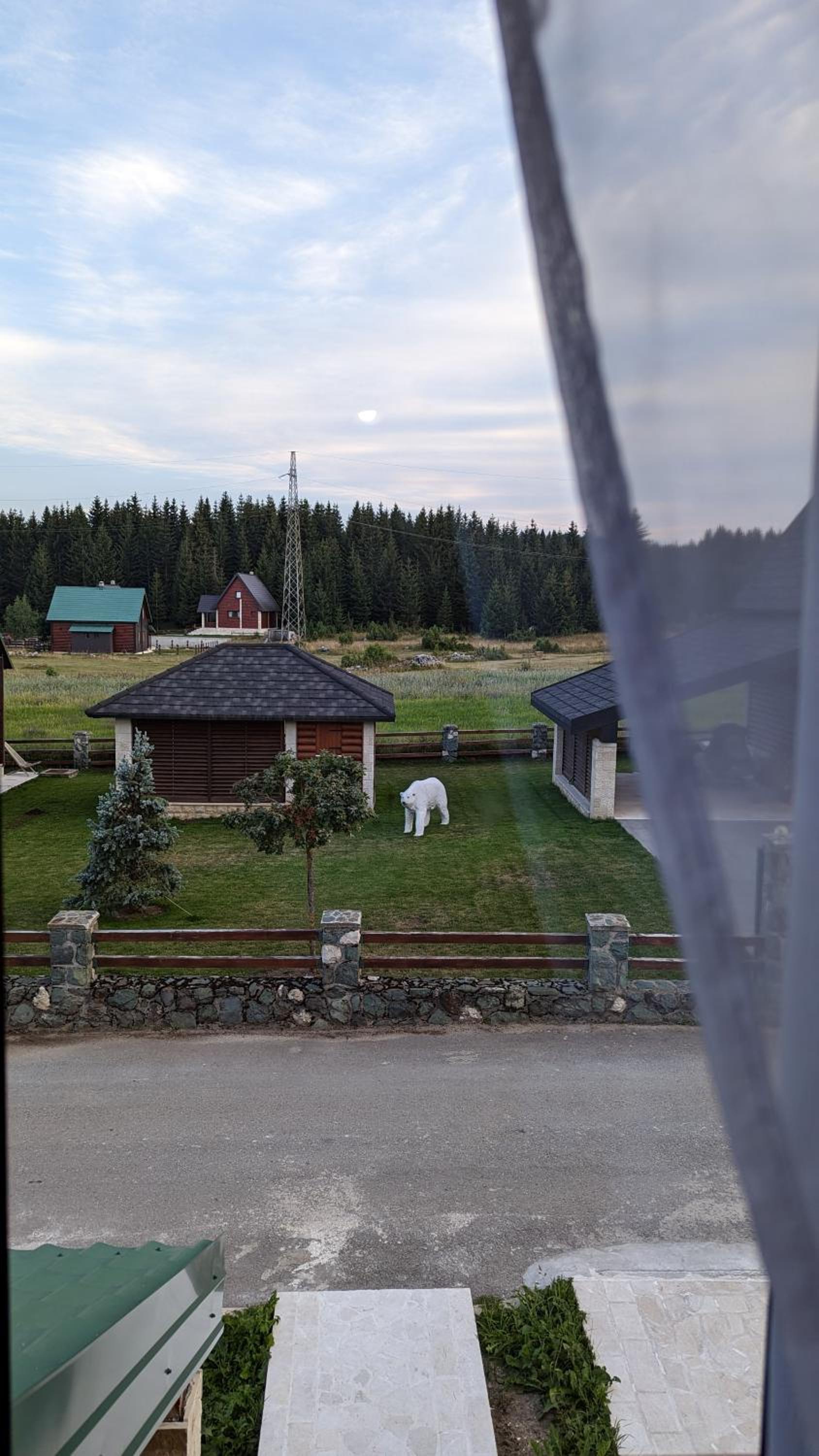Photo 48