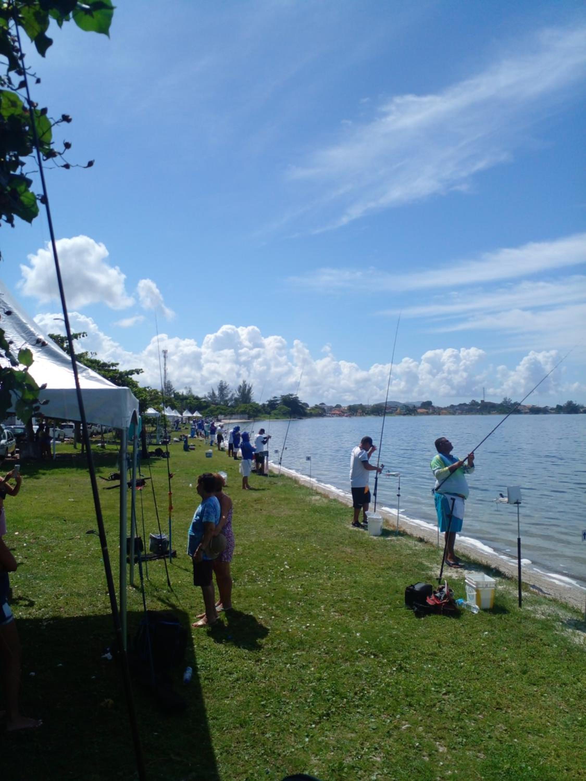 Photo 42