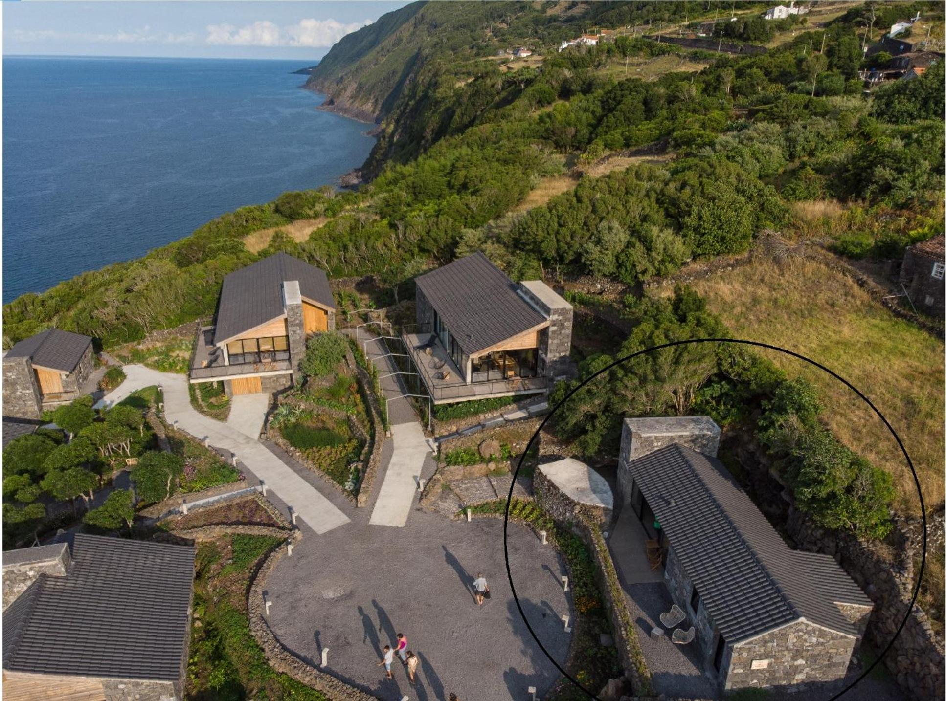 Lava Homes