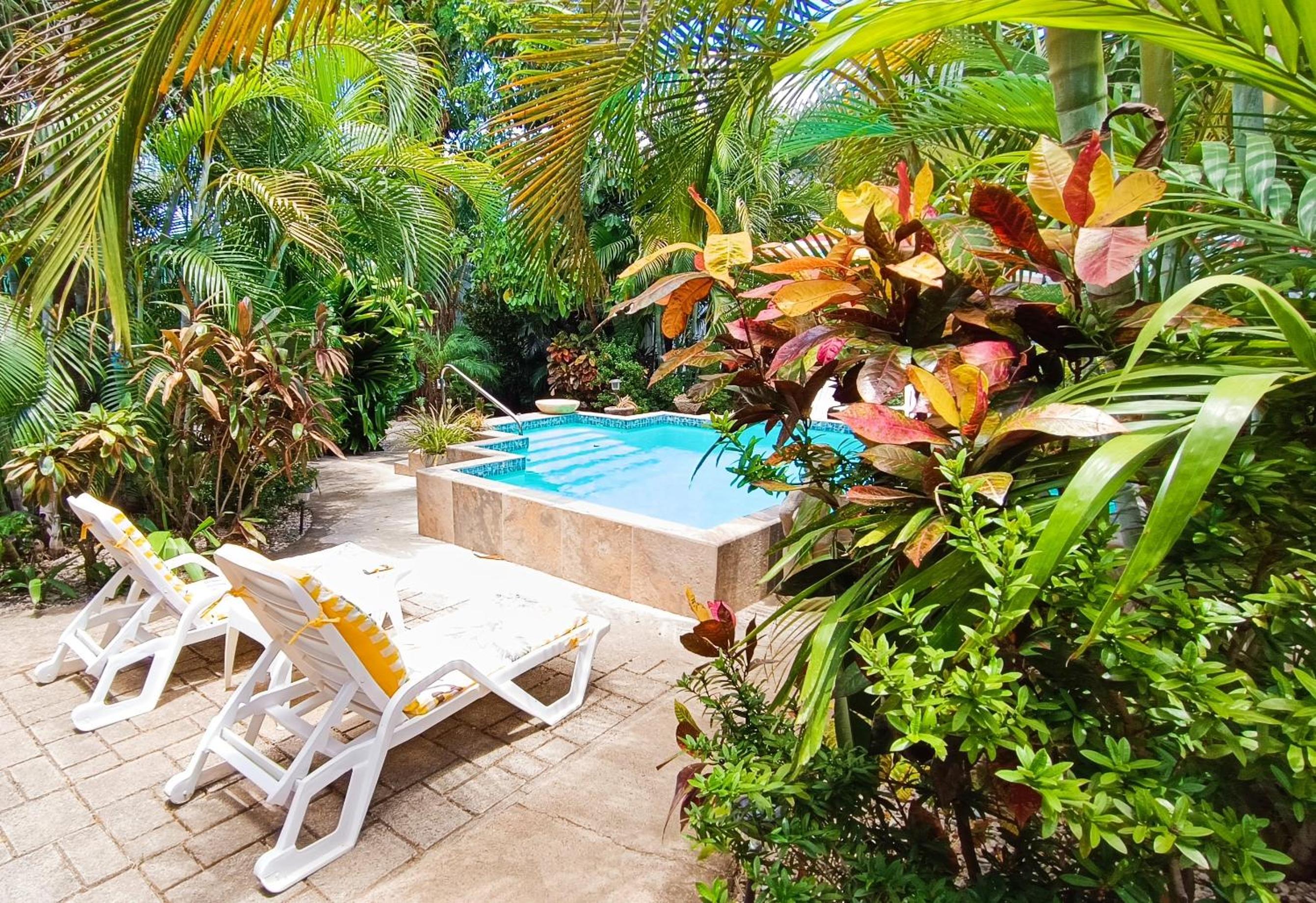Suite Paraiso Azul