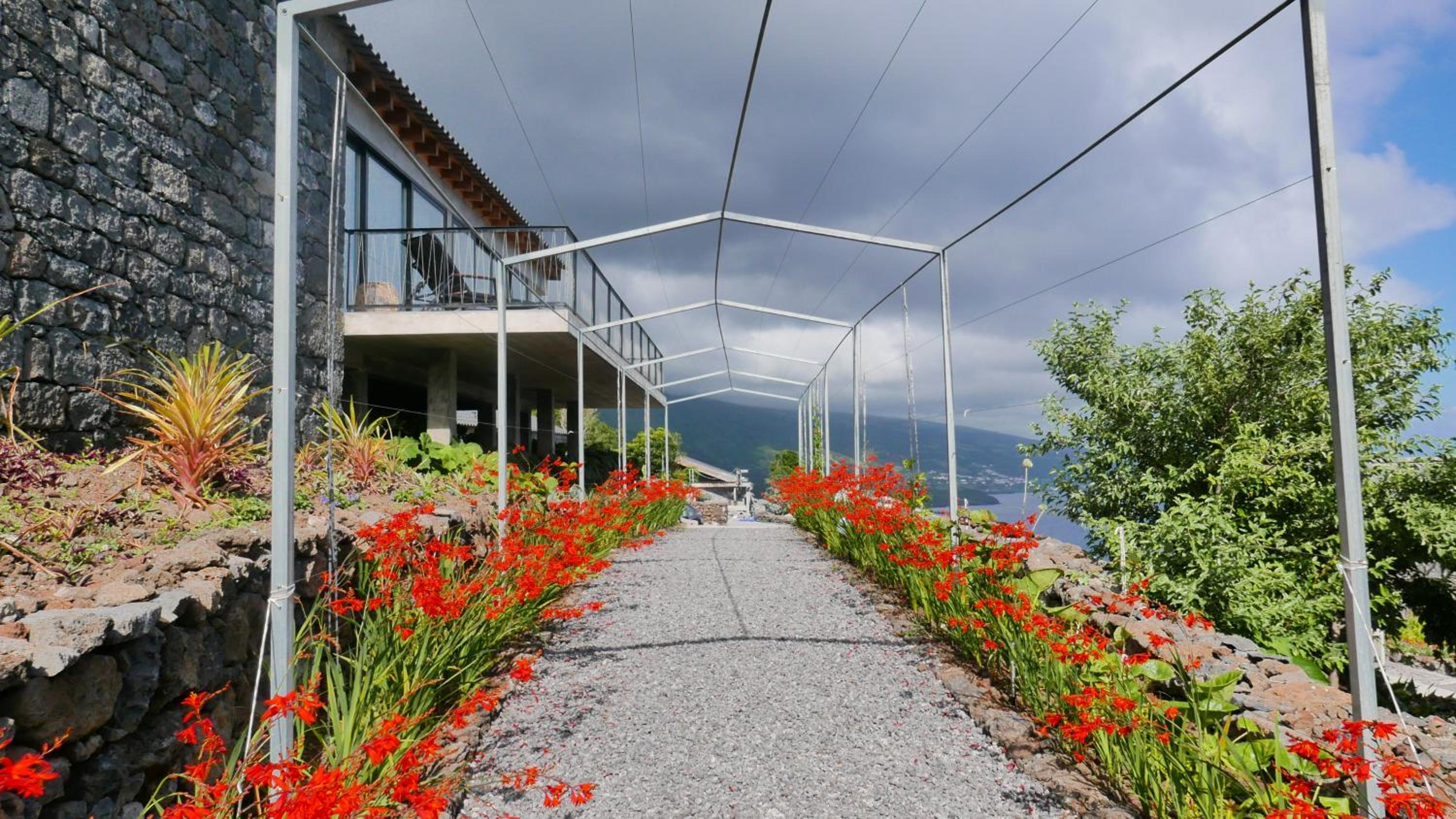 Lava Homes